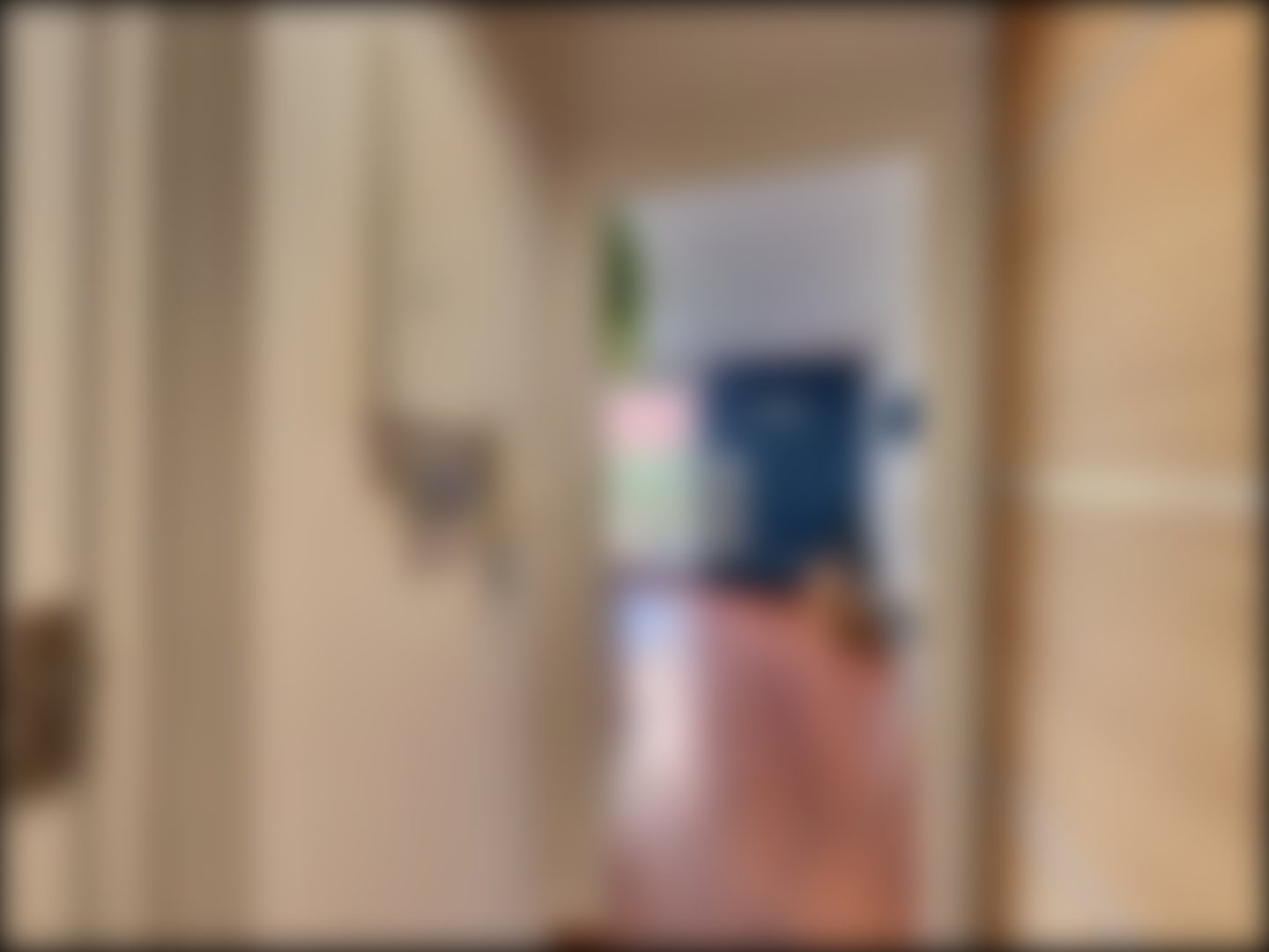 loading blurry tour image