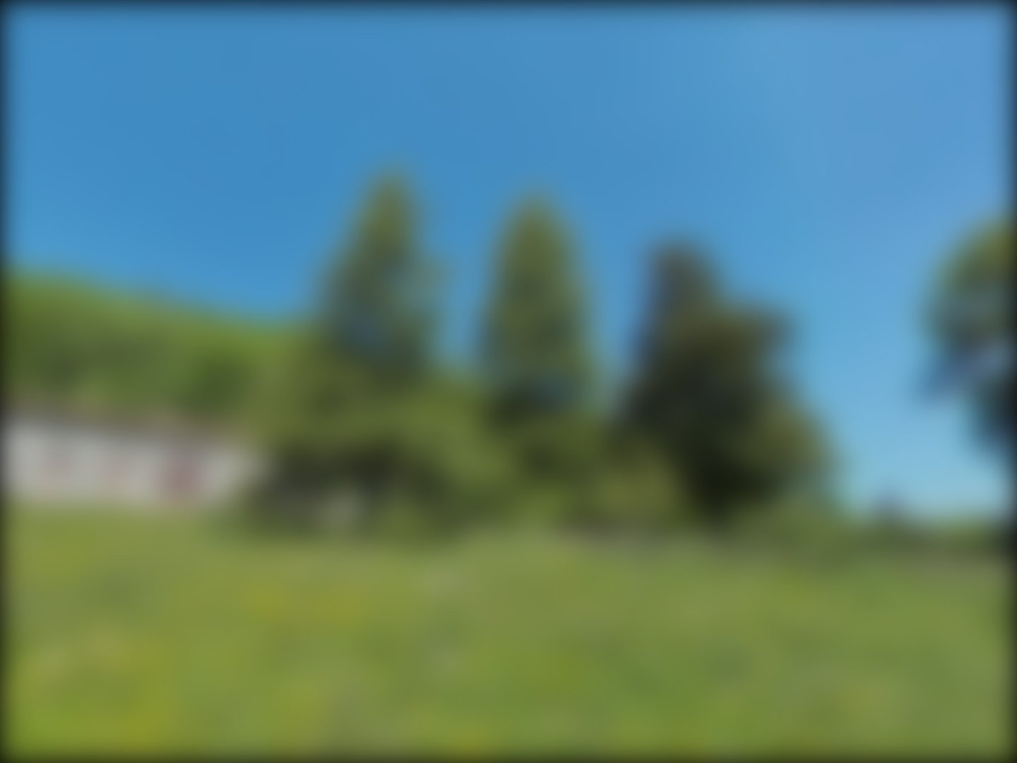 loading blurry tour image