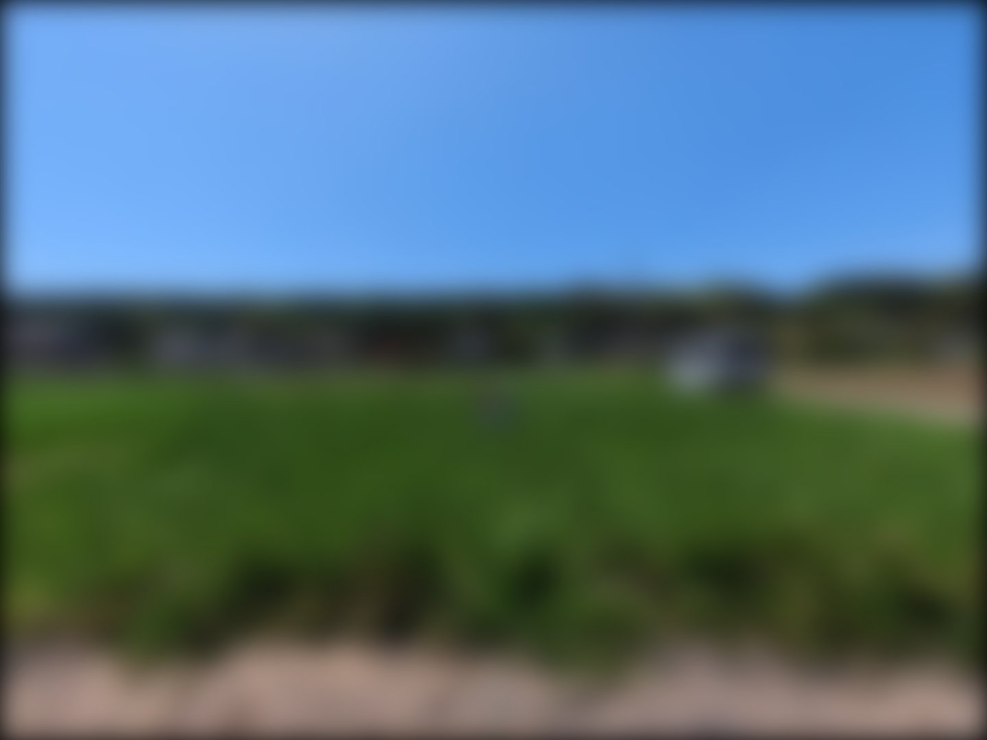 loading blurry tour image