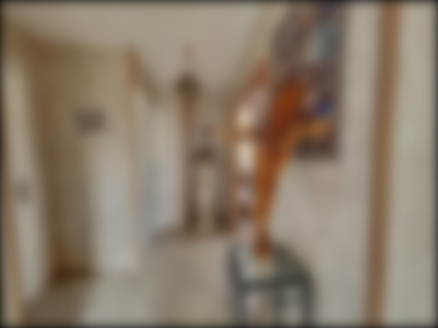 loading blurry tour image