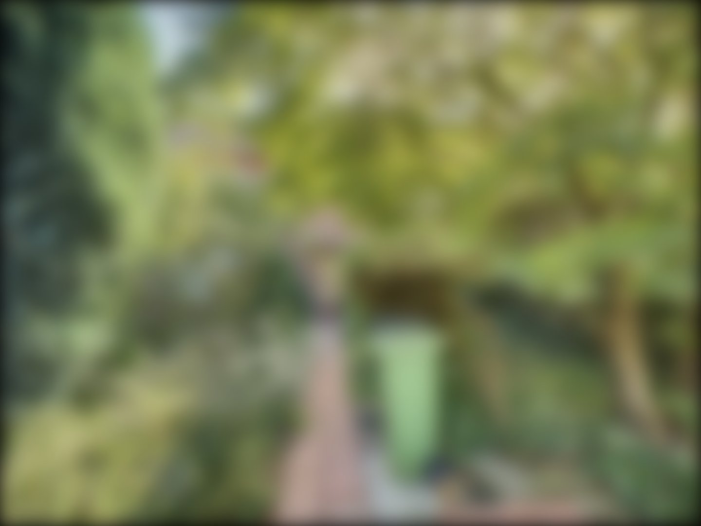 loading blurry tour image