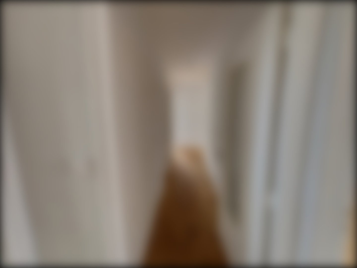 loading blurry tour image