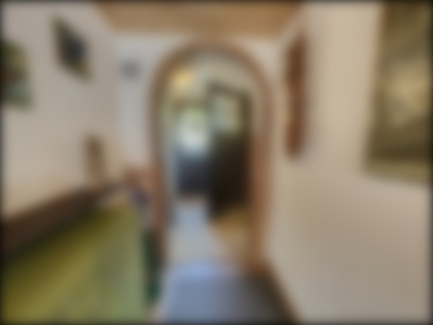 loading blurry tour image