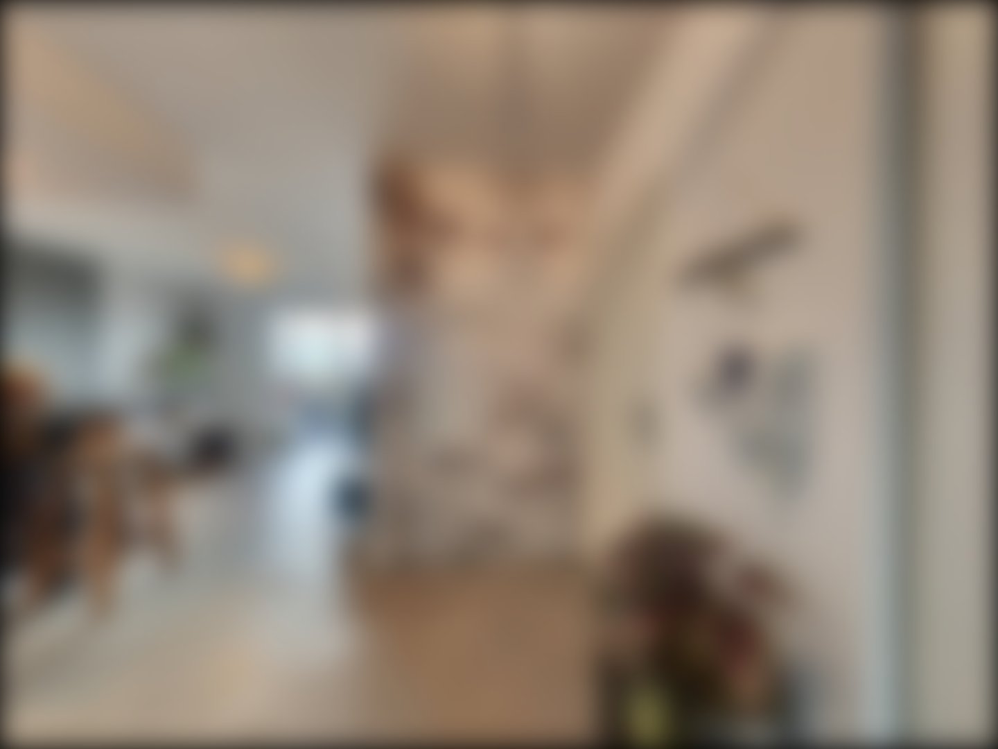 loading blurry tour image