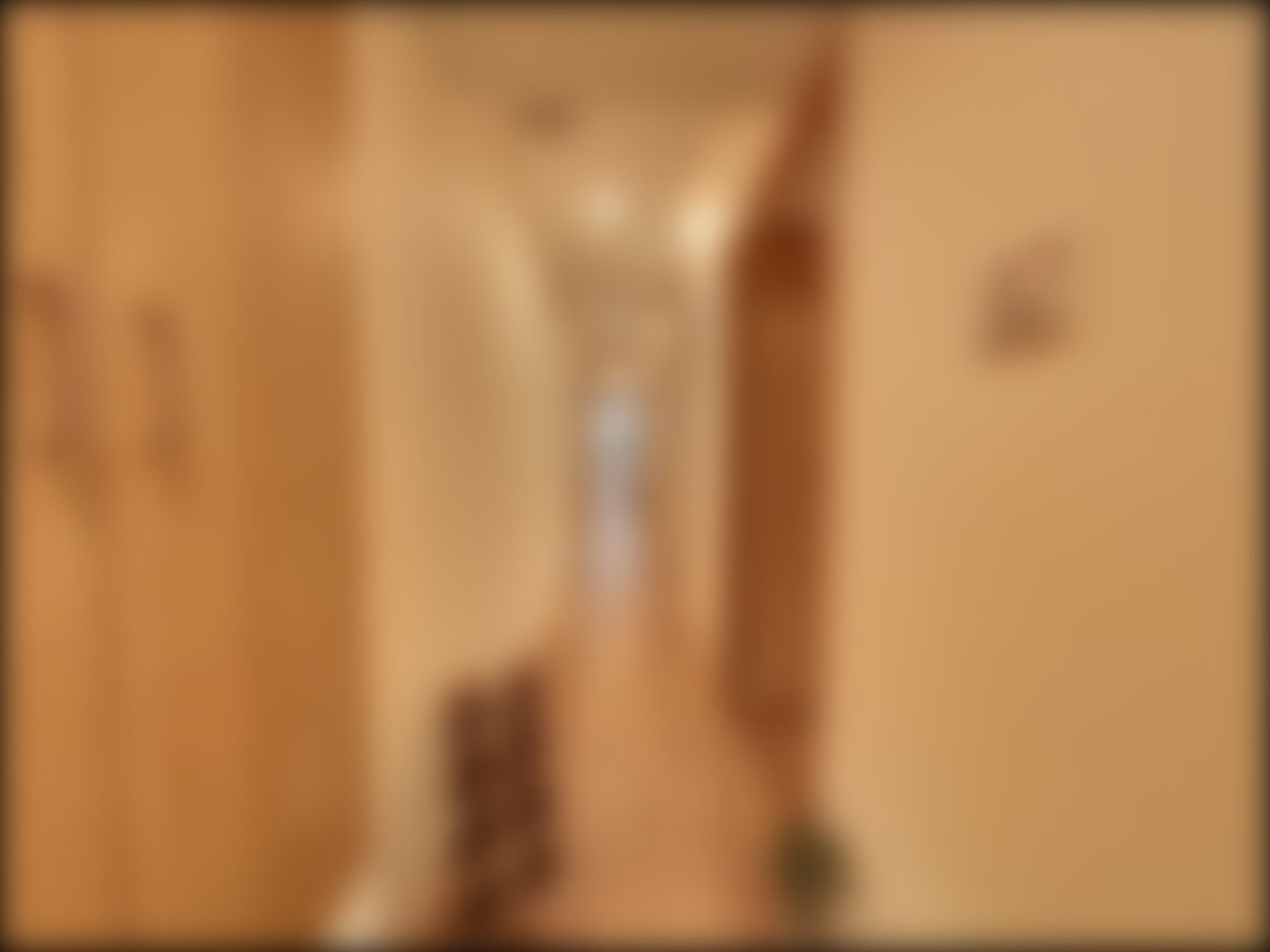 loading blurry tour image