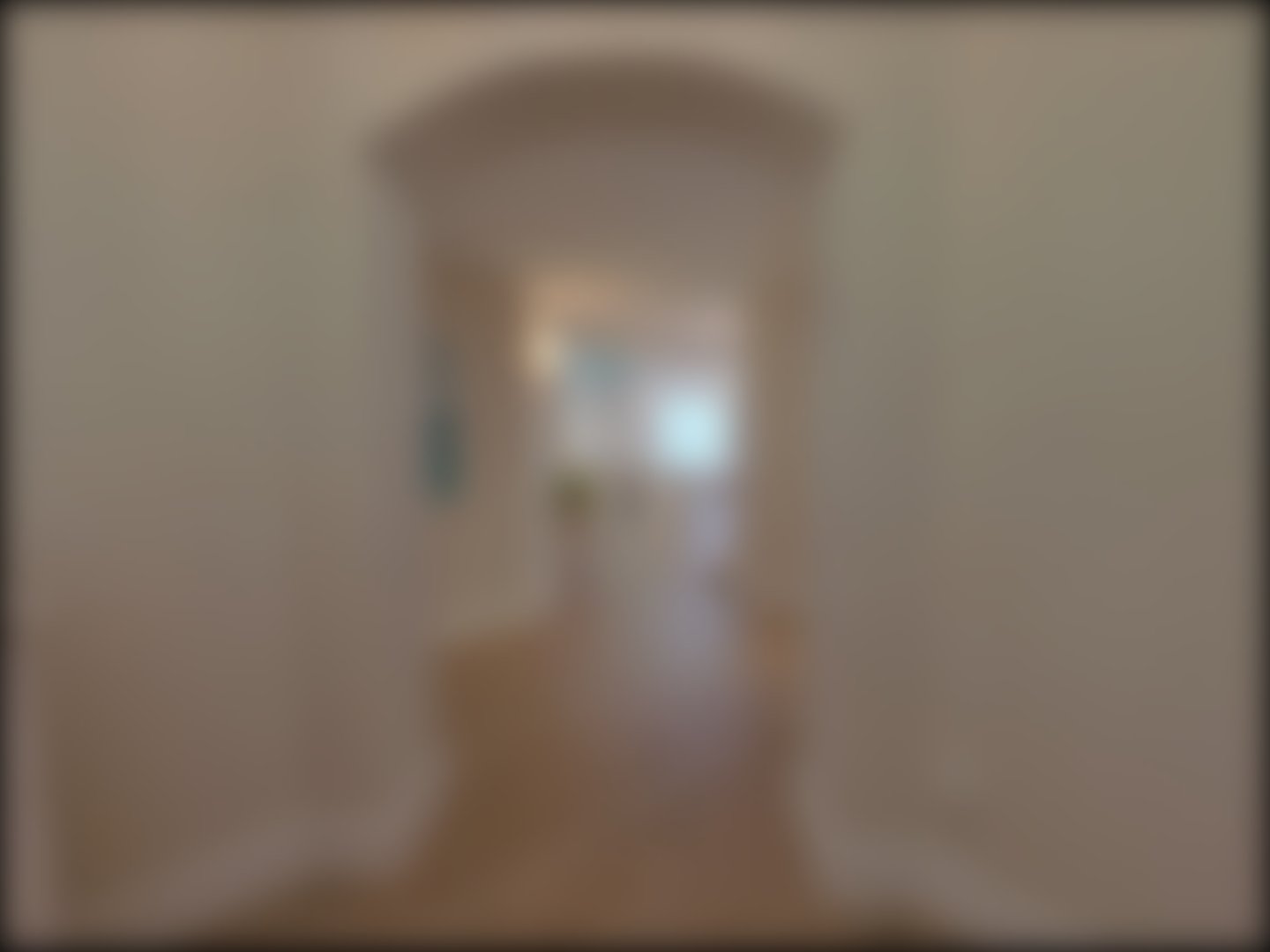 loading blurry tour image