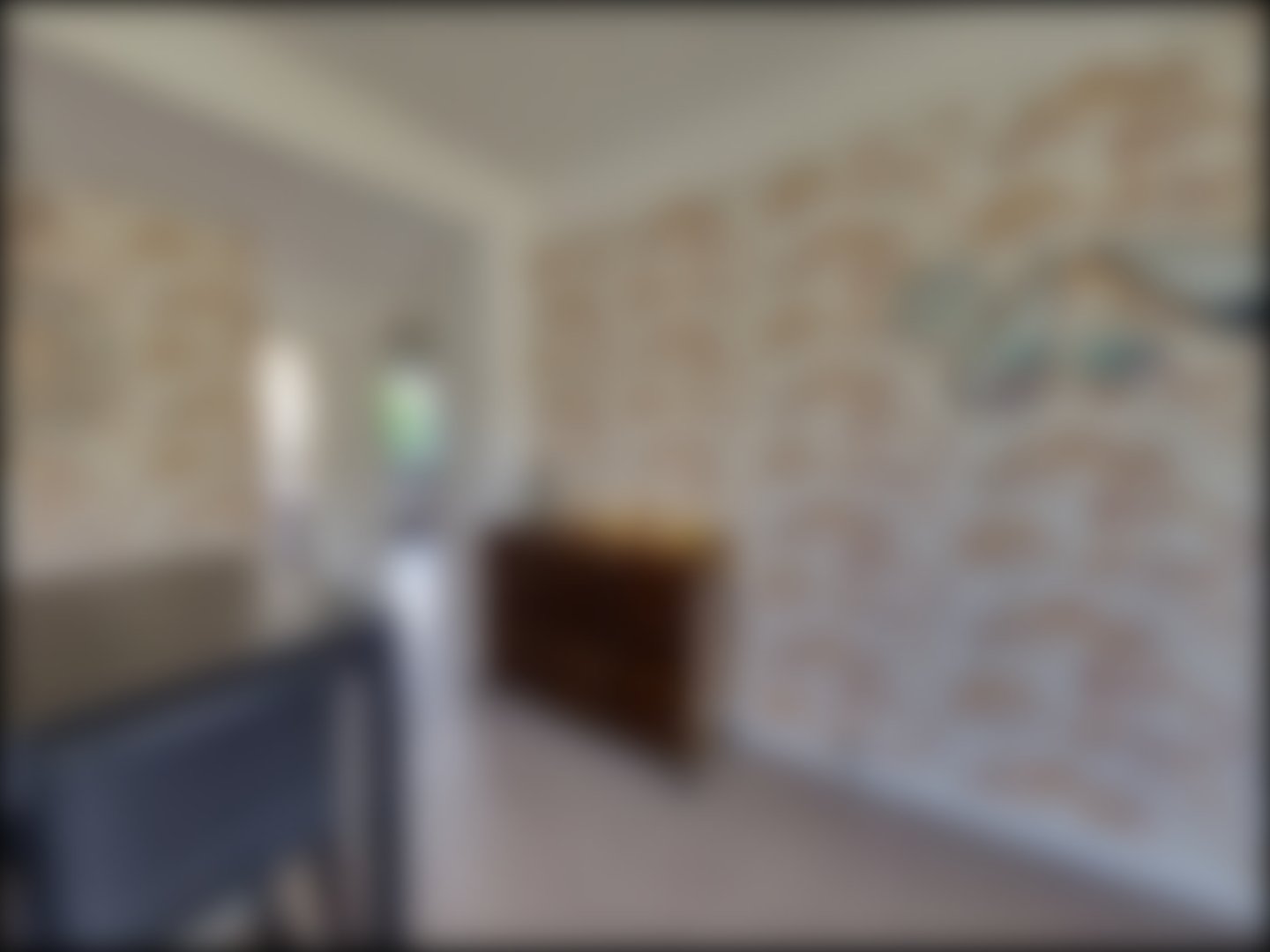 loading blurry tour image