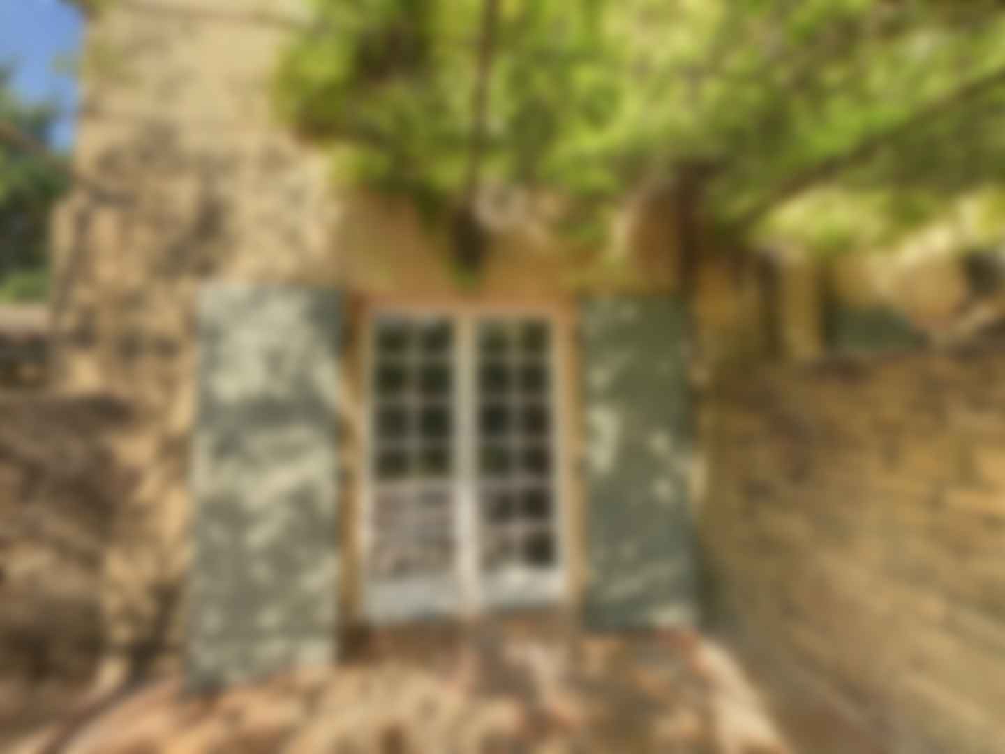 loading blurry tour image