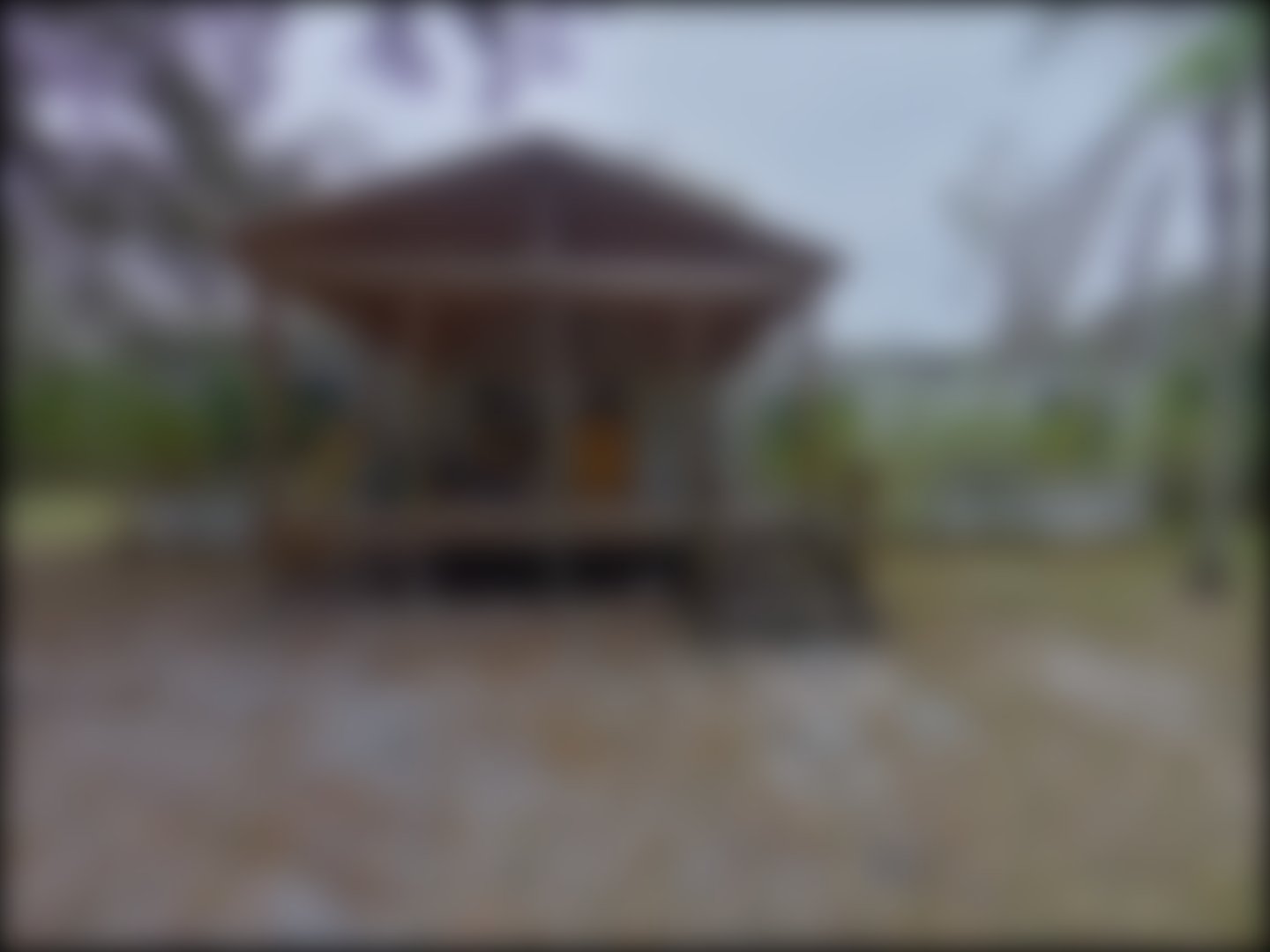 loading blurry tour image