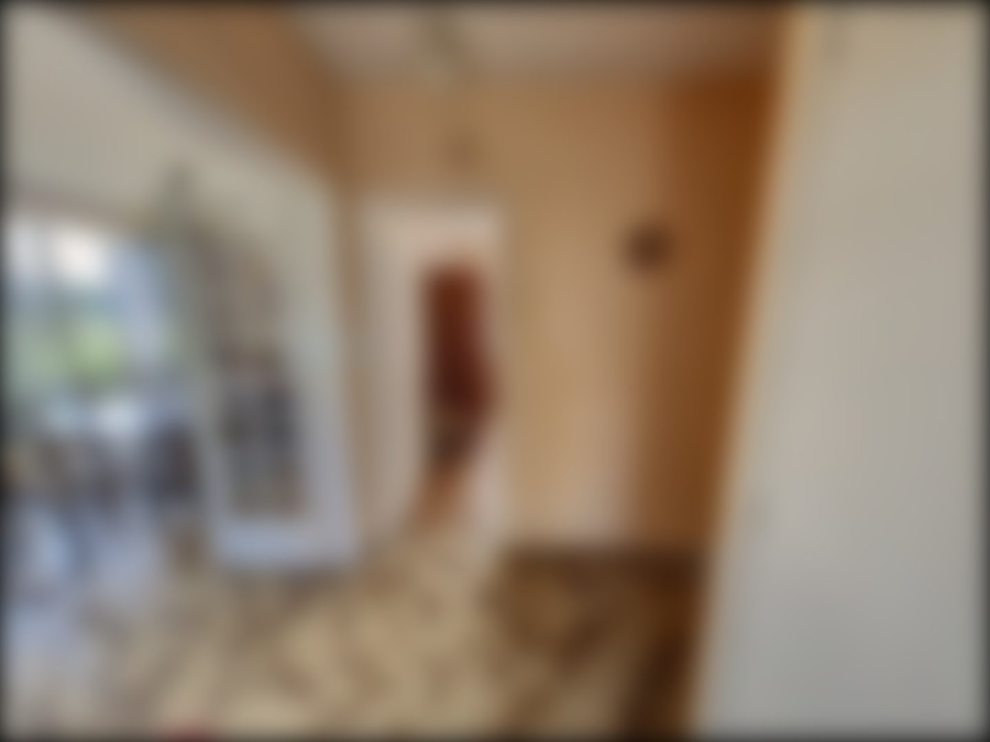 loading blurry tour image