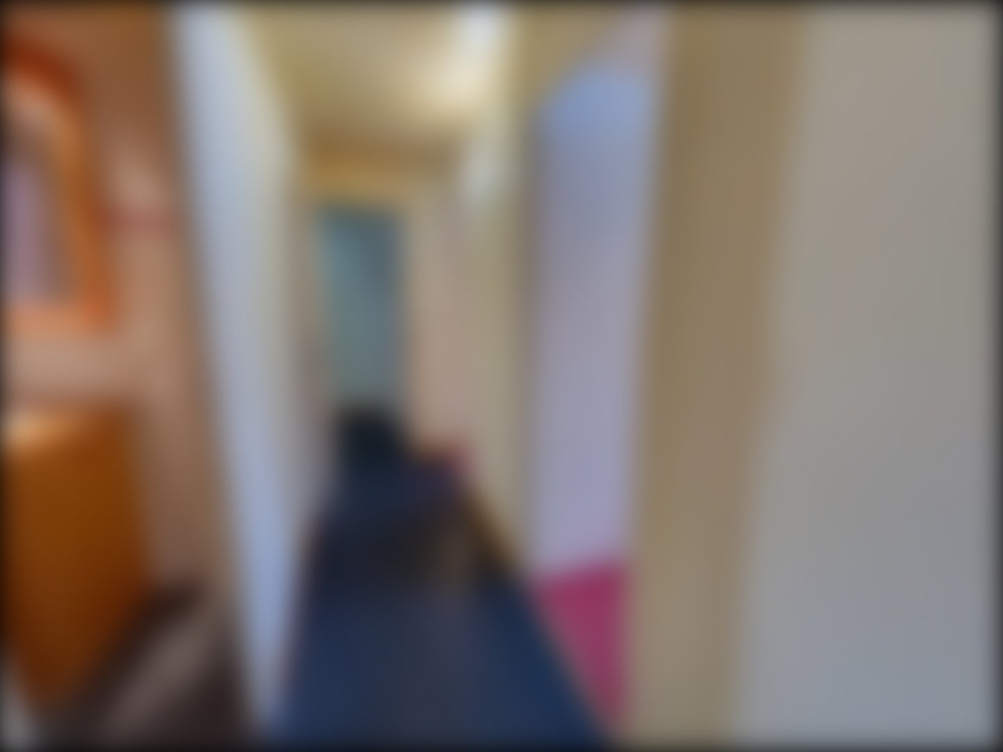 loading blurry tour image