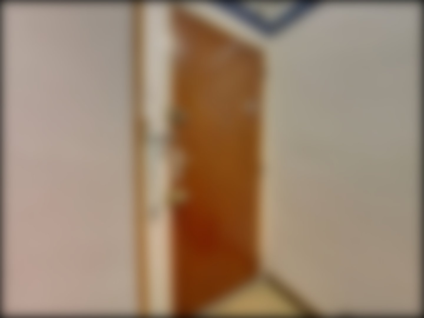 loading blurry tour image