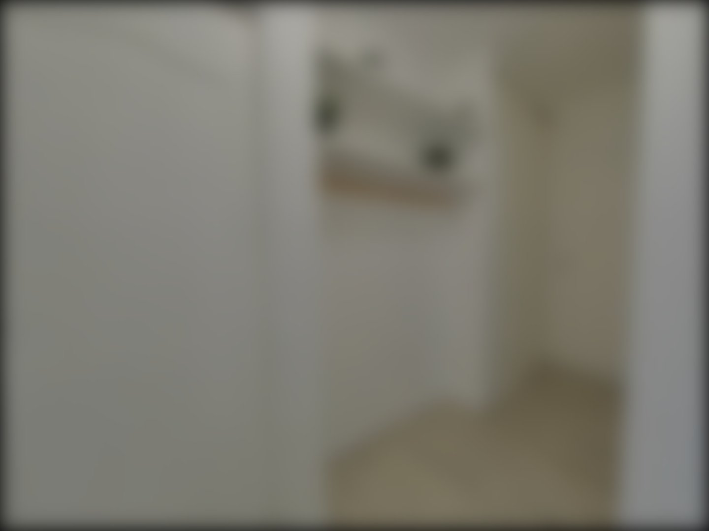 loading blurry tour image