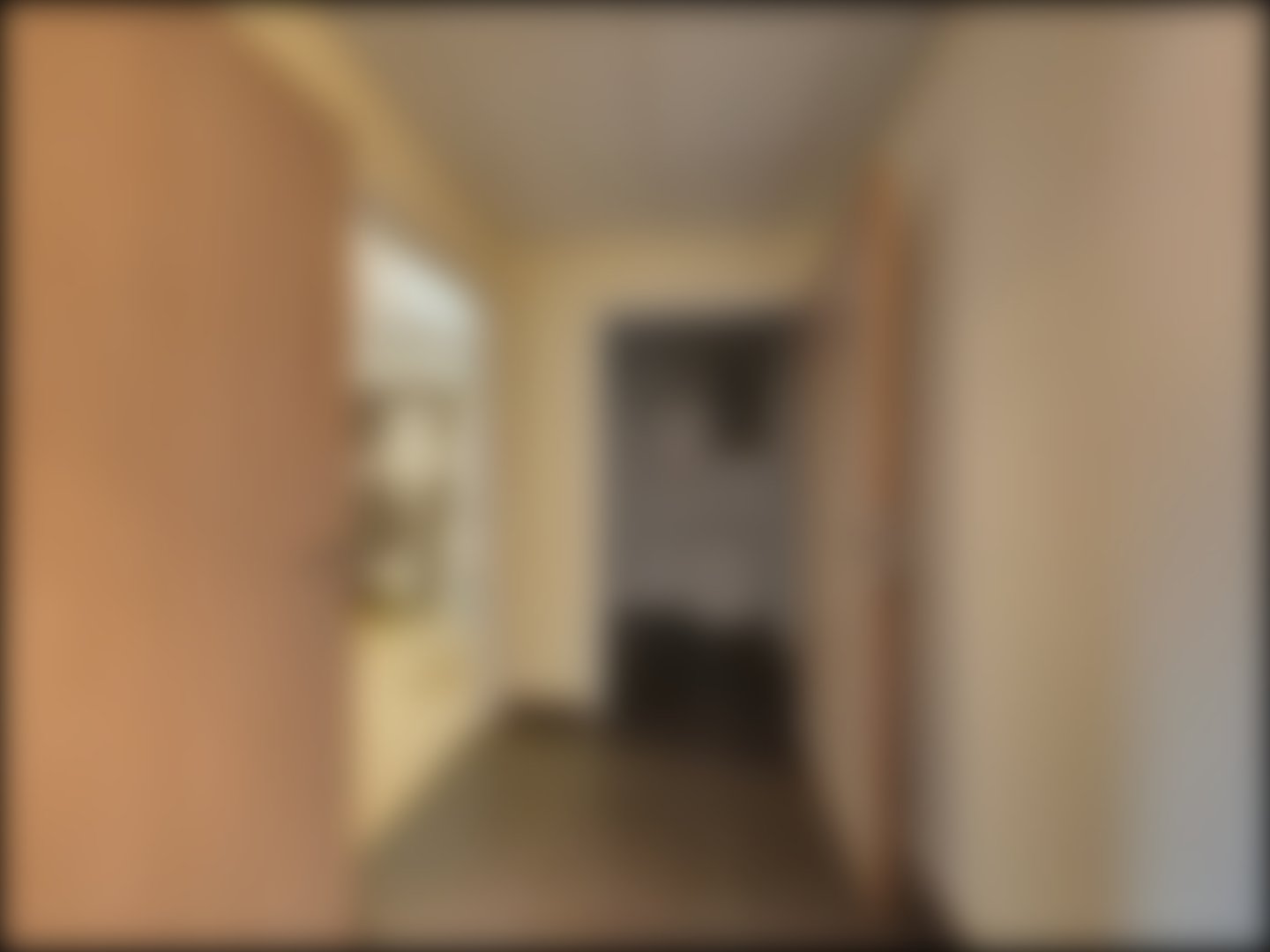 loading blurry tour image