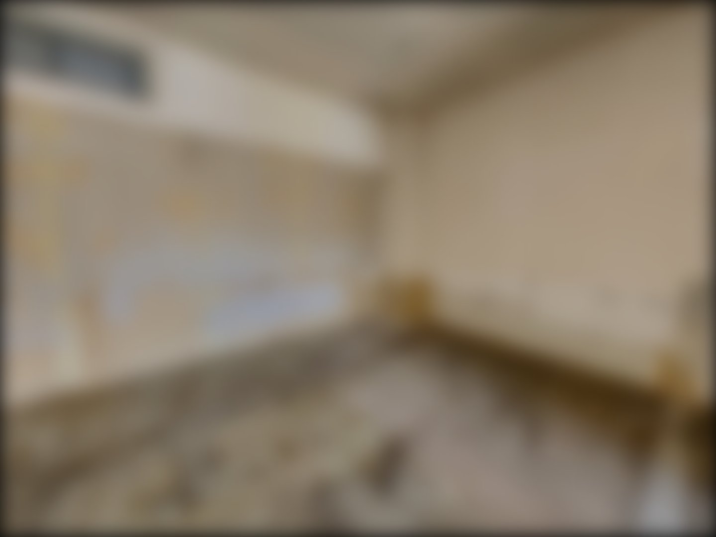 loading blurry tour image