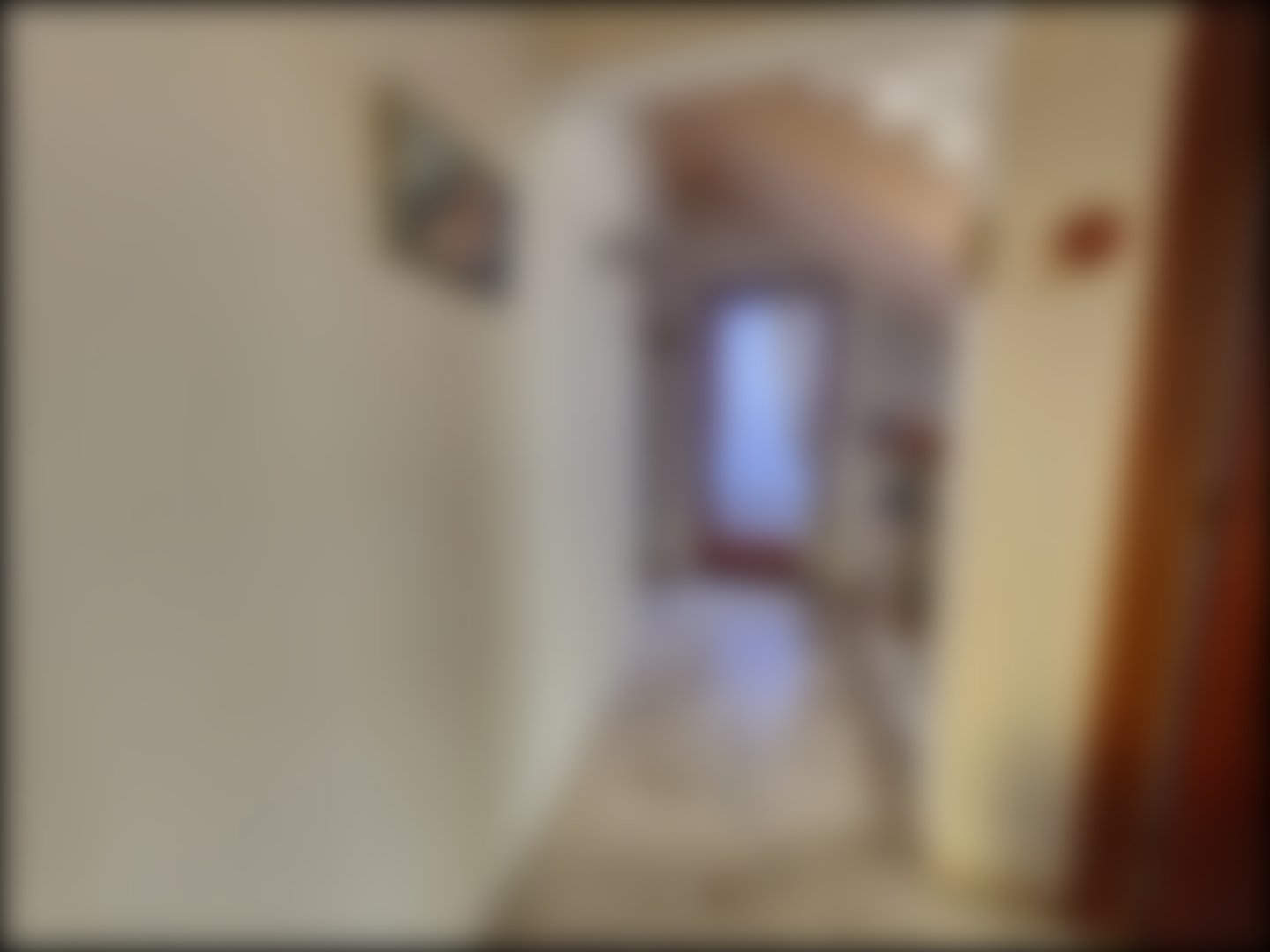 loading blurry tour image