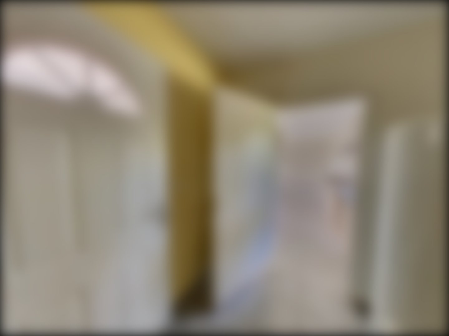 loading blurry tour image