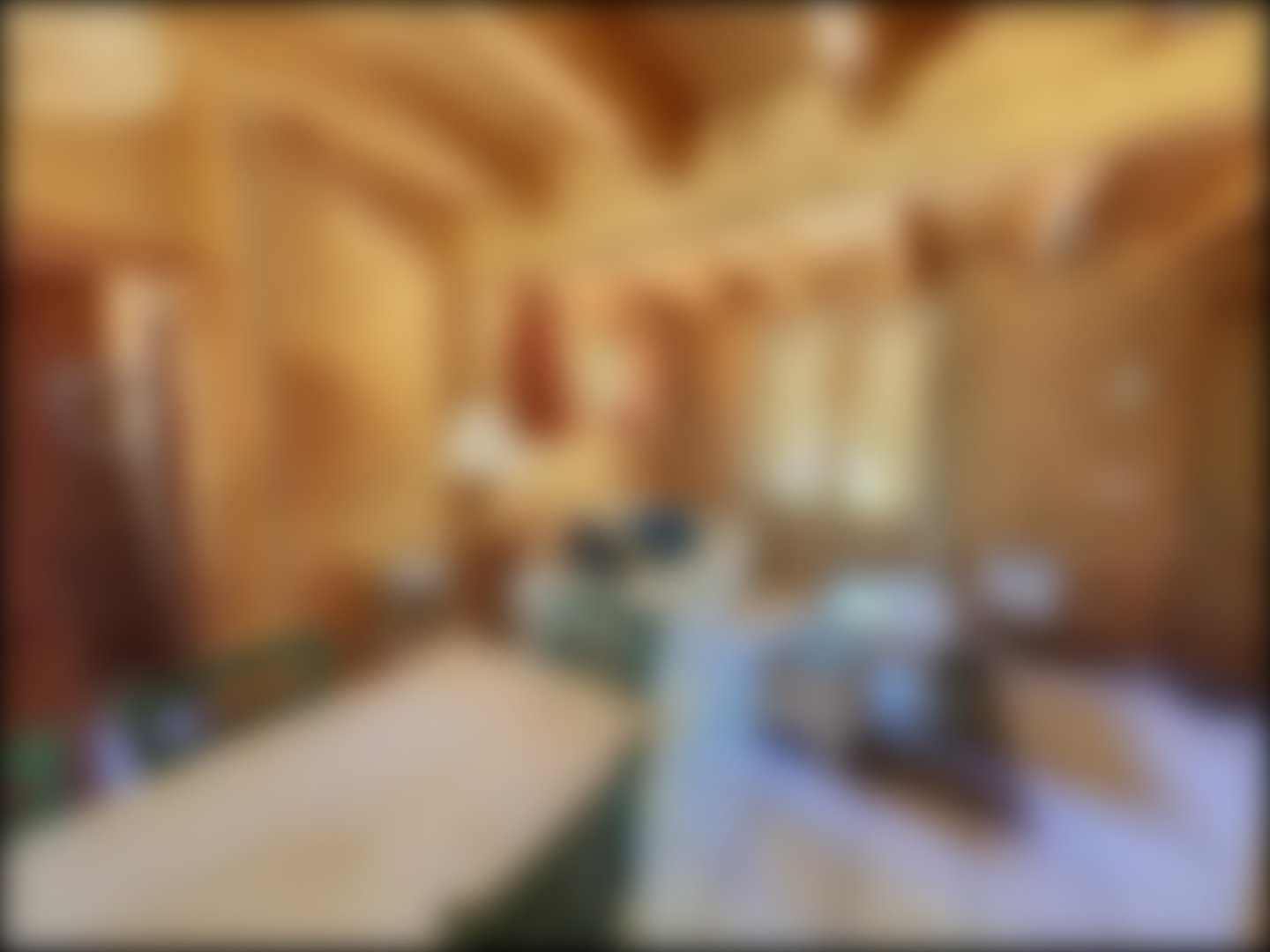 loading blurry tour image