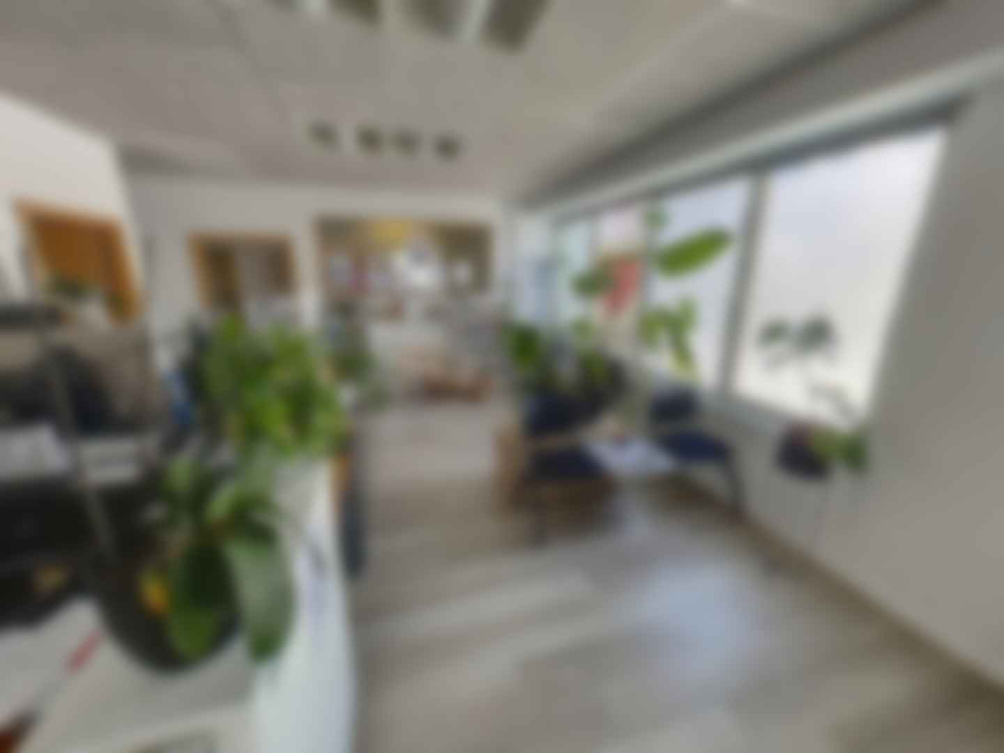 loading blurry tour image