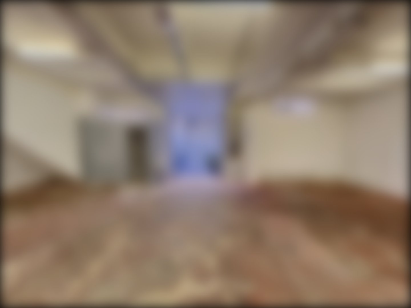 loading blurry tour image