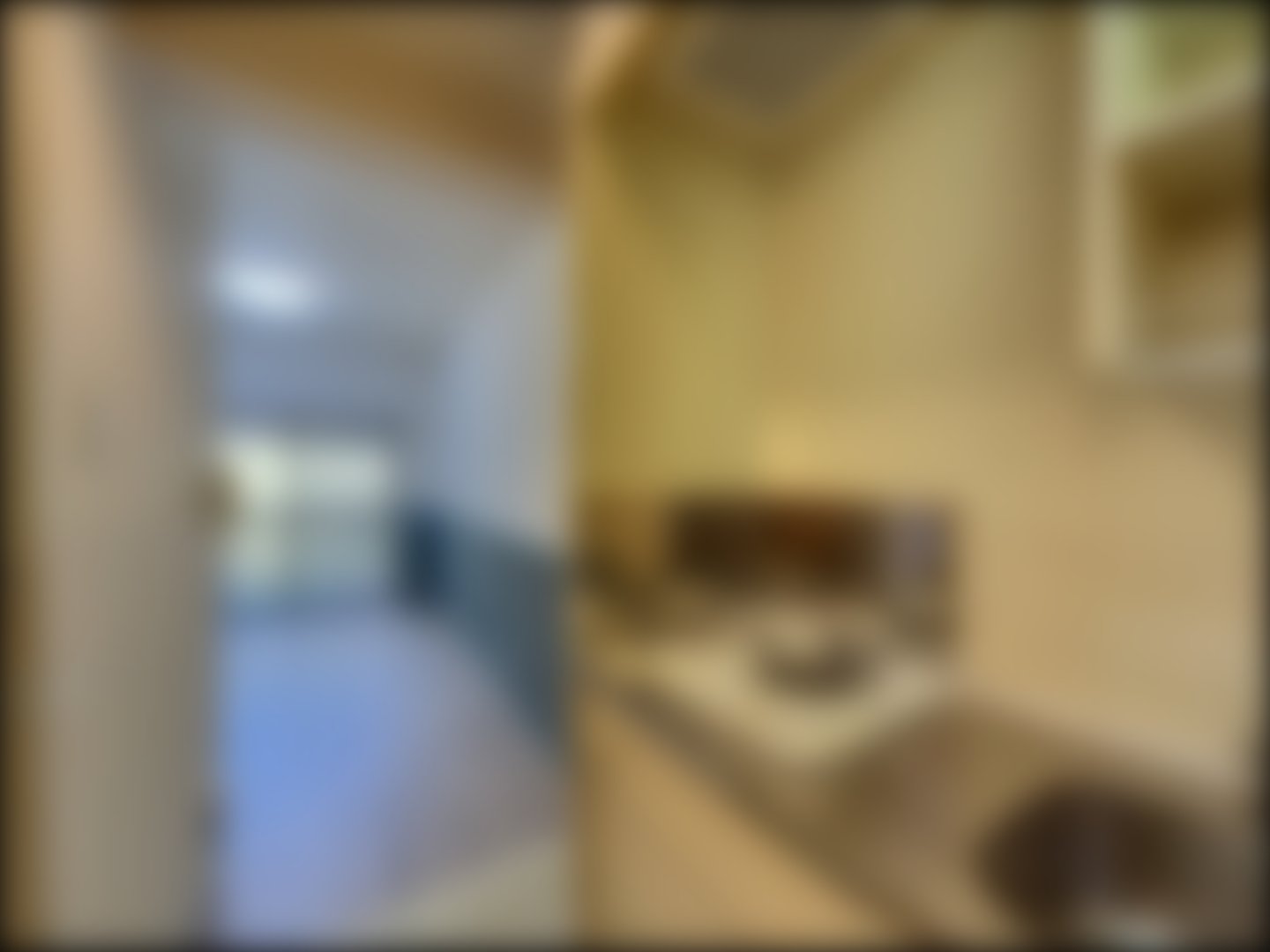 loading blurry tour image