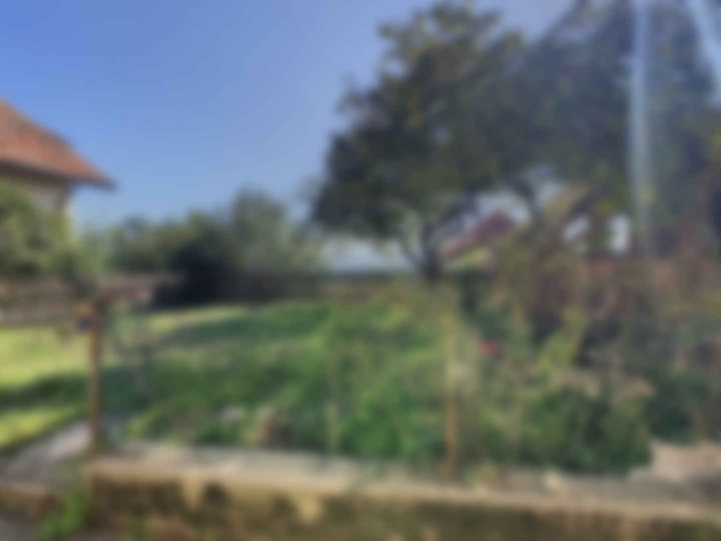 loading blurry tour image