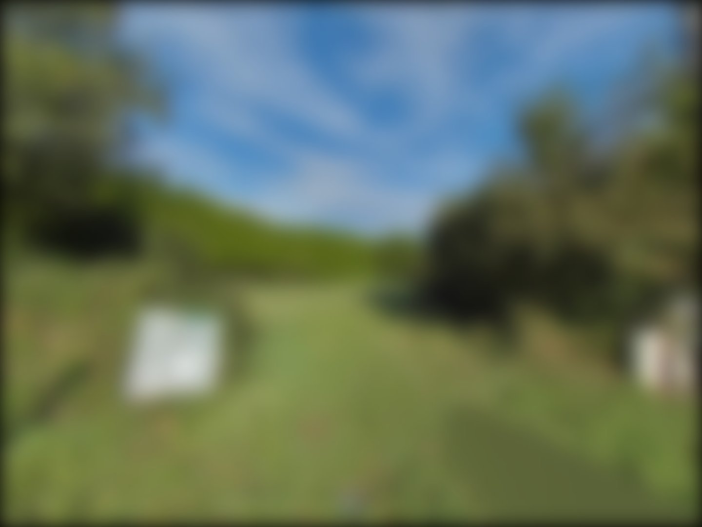 loading blurry tour image