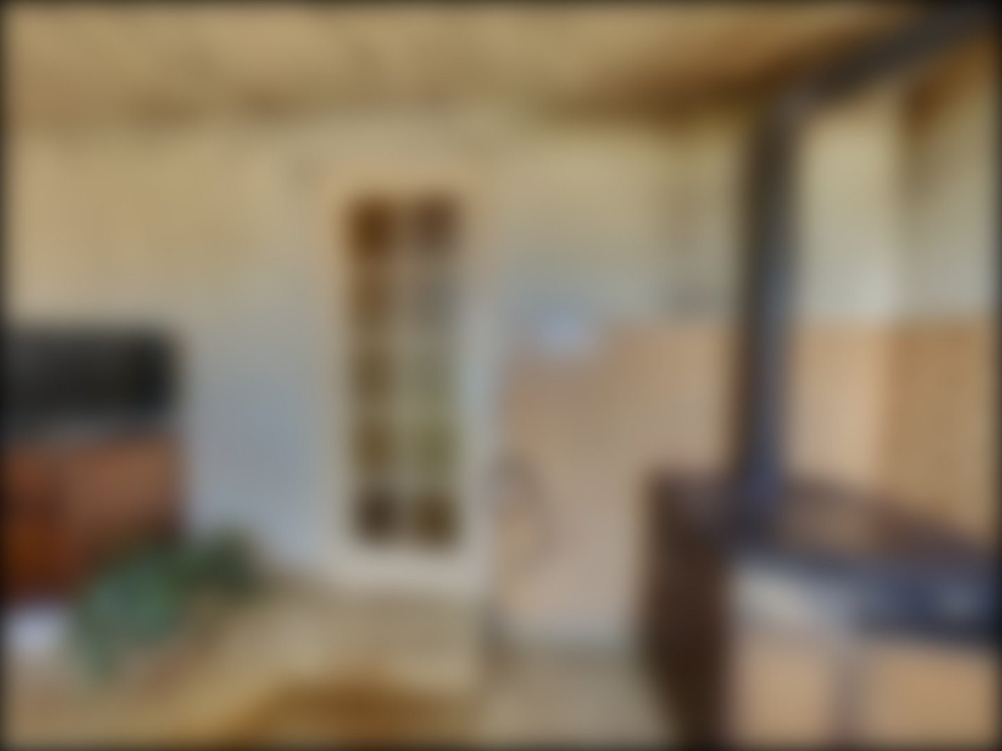 loading blurry tour image