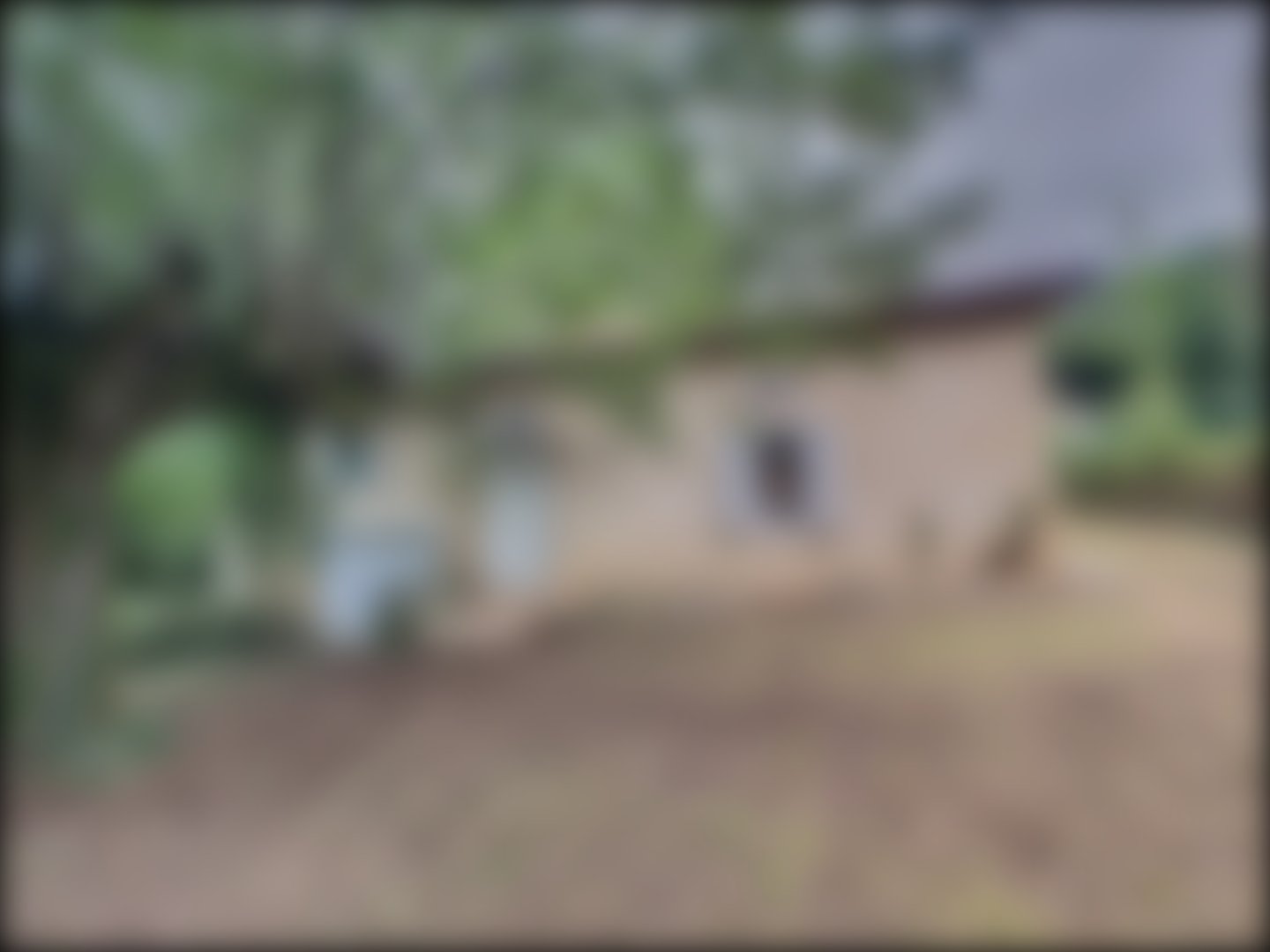 loading blurry tour image