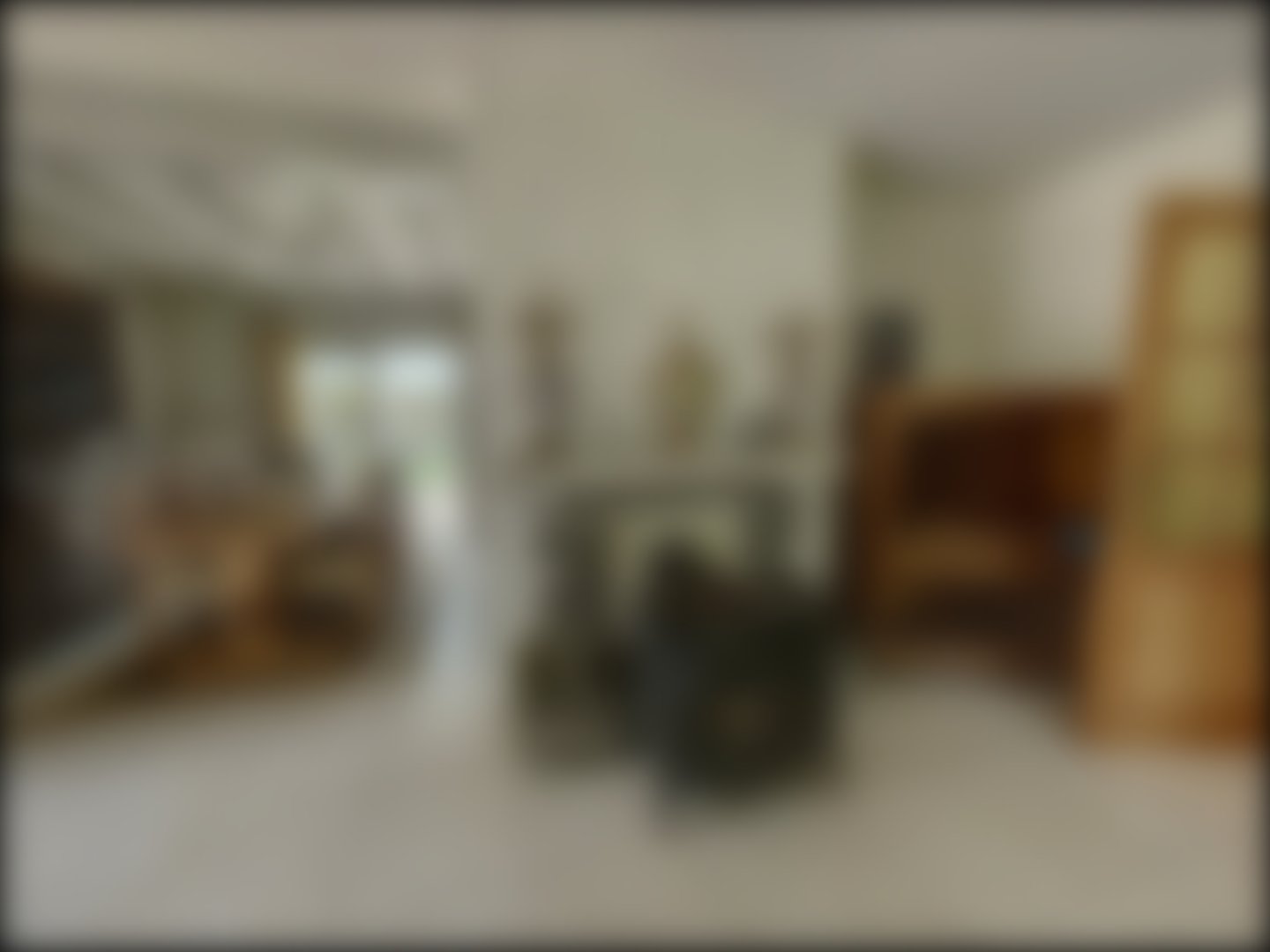 loading blurry tour image