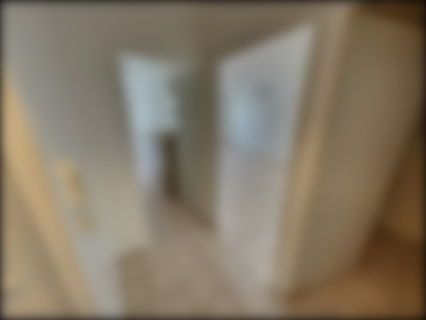 loading blurry tour image