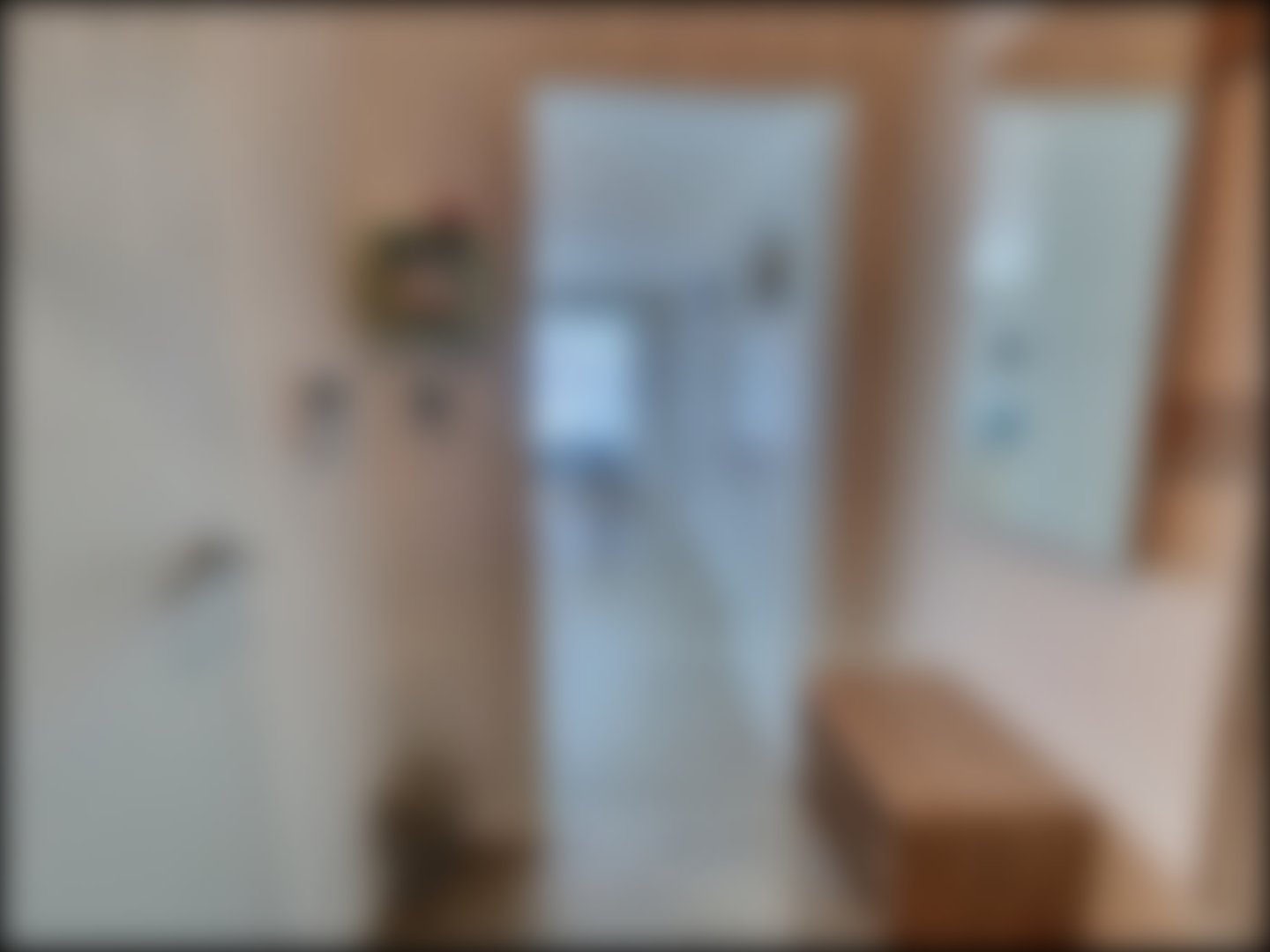 loading blurry tour image