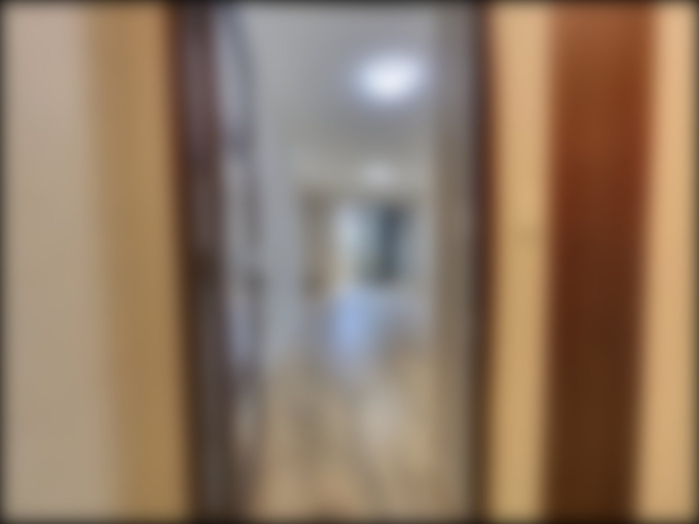 loading blurry tour image