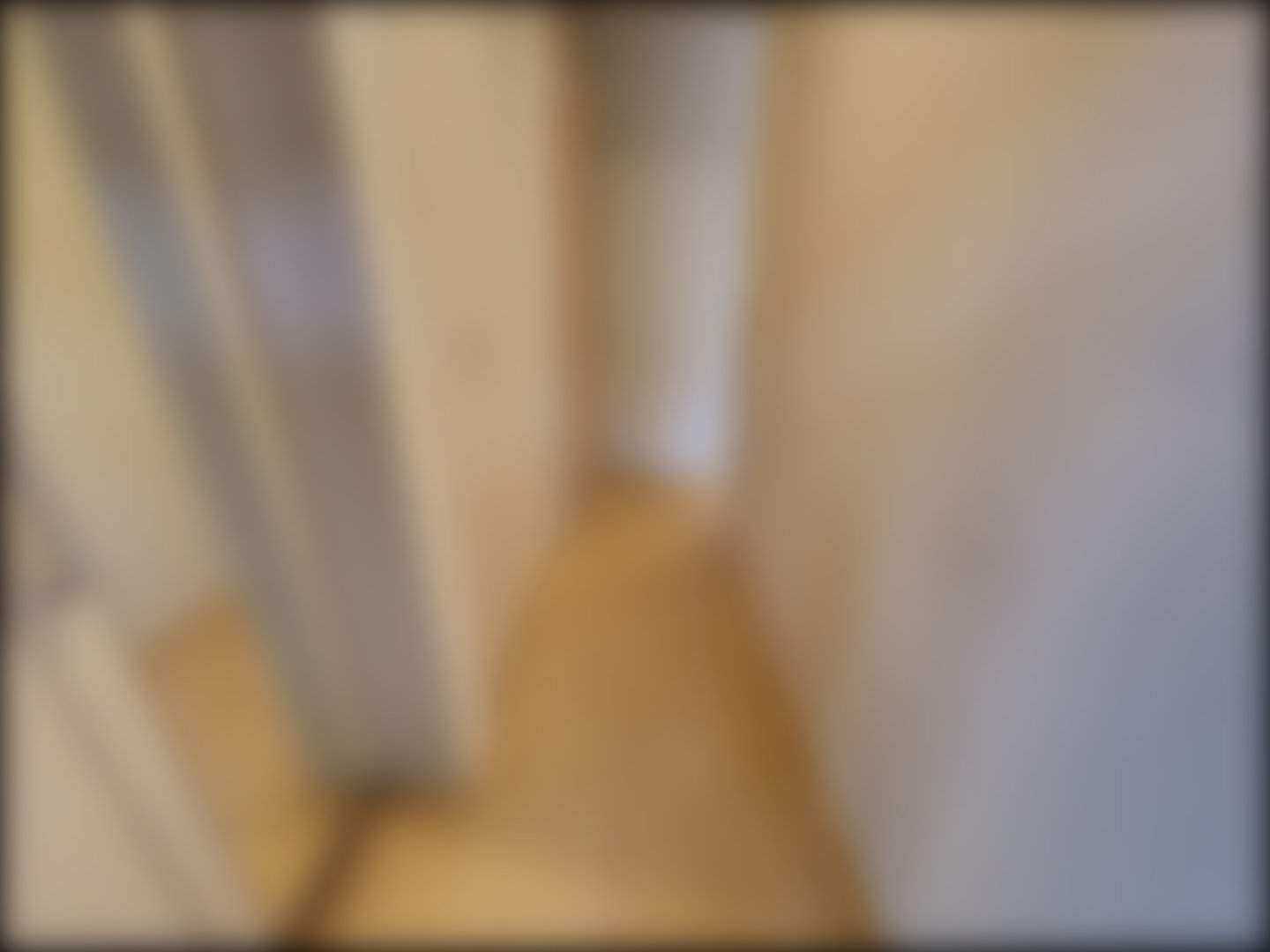 loading blurry tour image