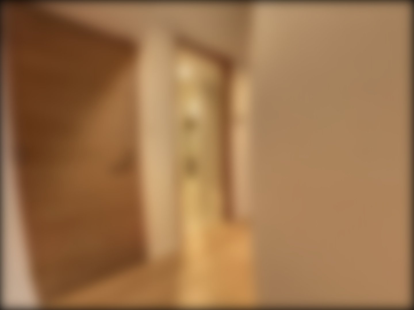 loading blurry tour image