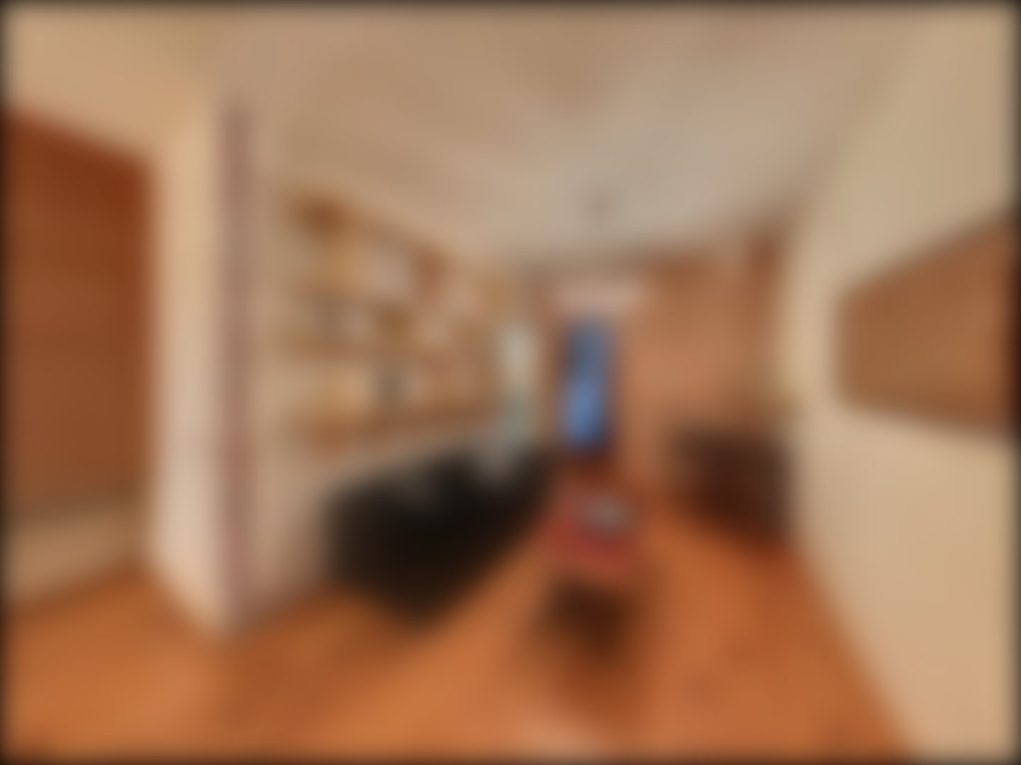 loading blurry tour image