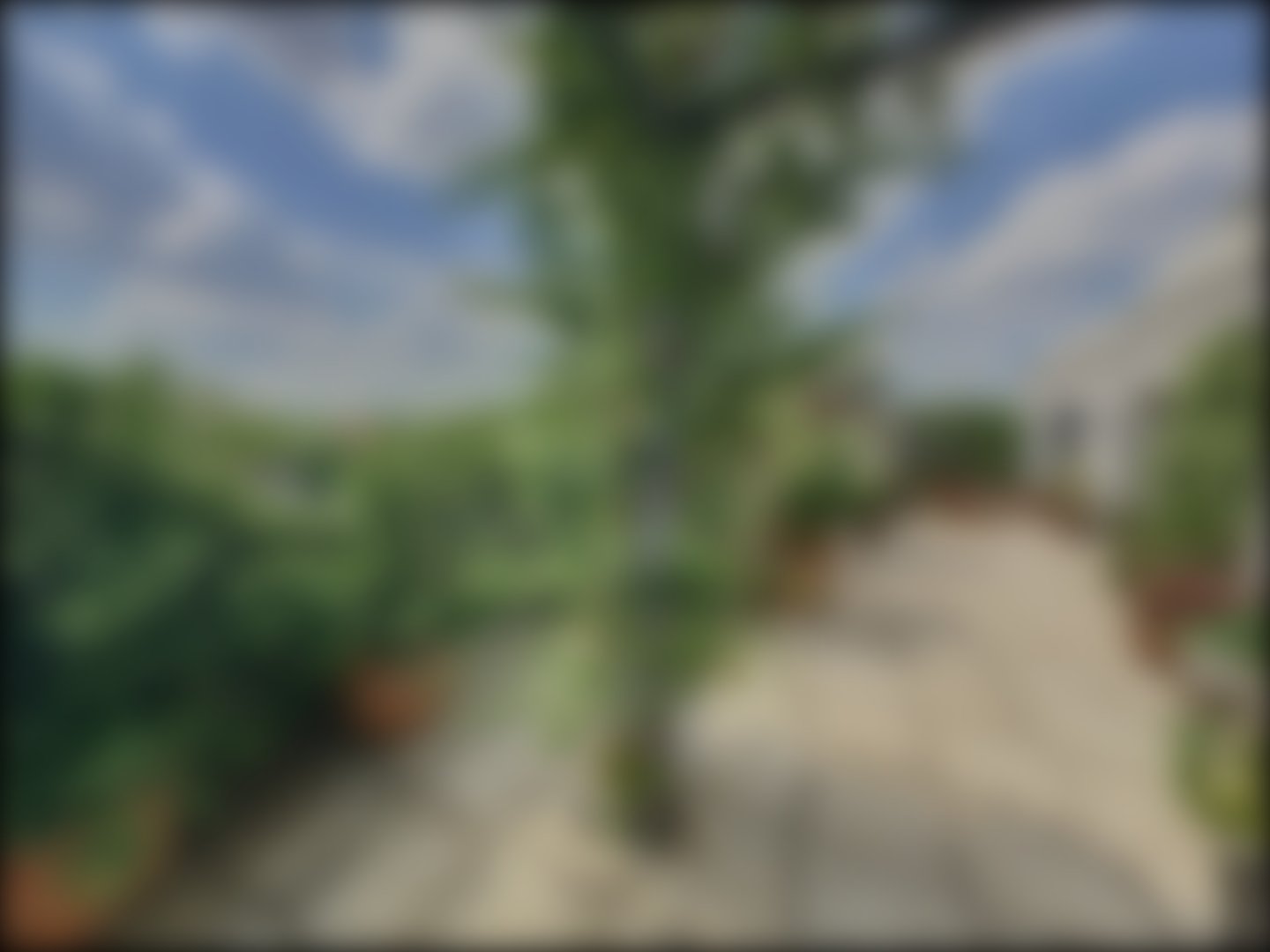 loading blurry tour image