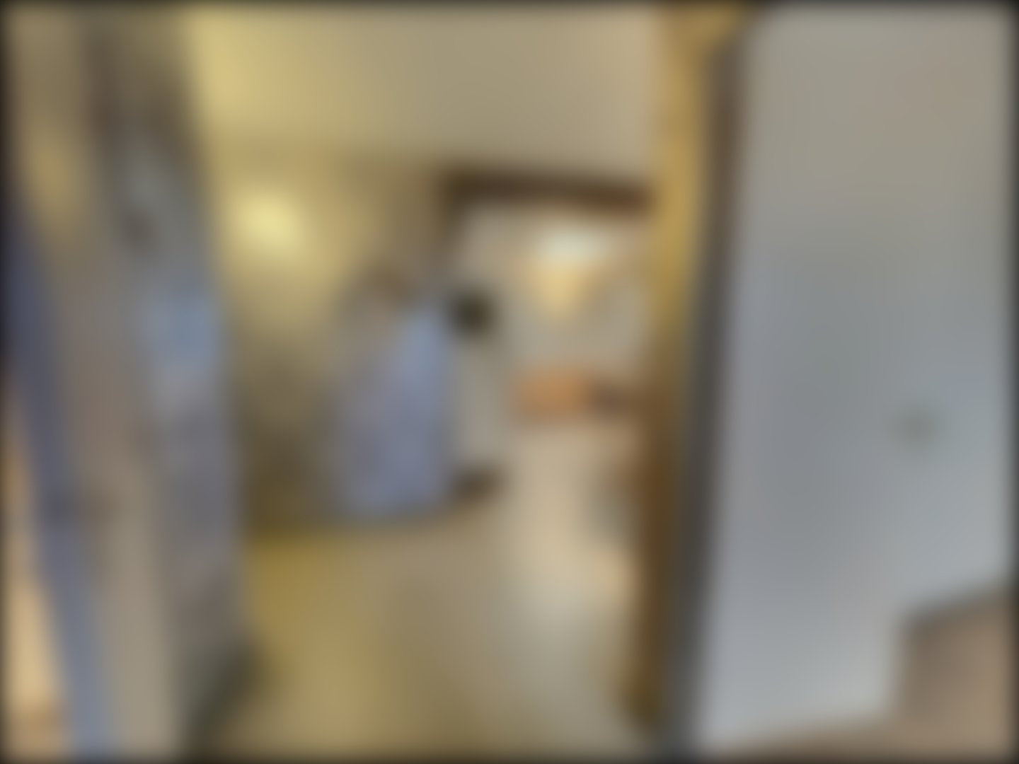 loading blurry tour image