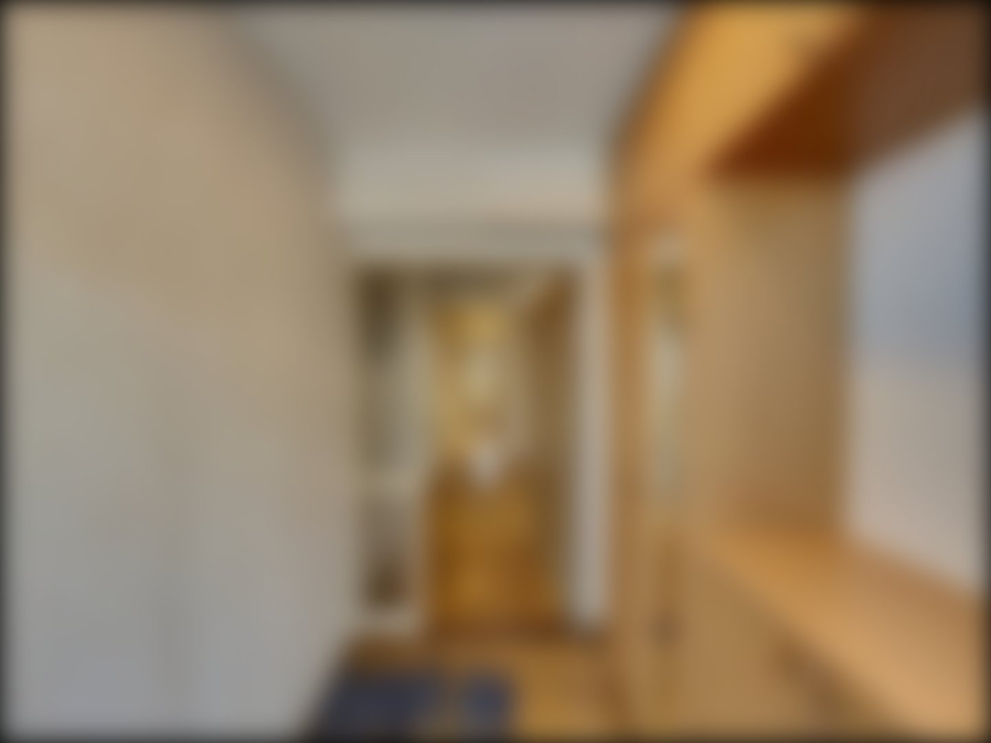 loading blurry tour image