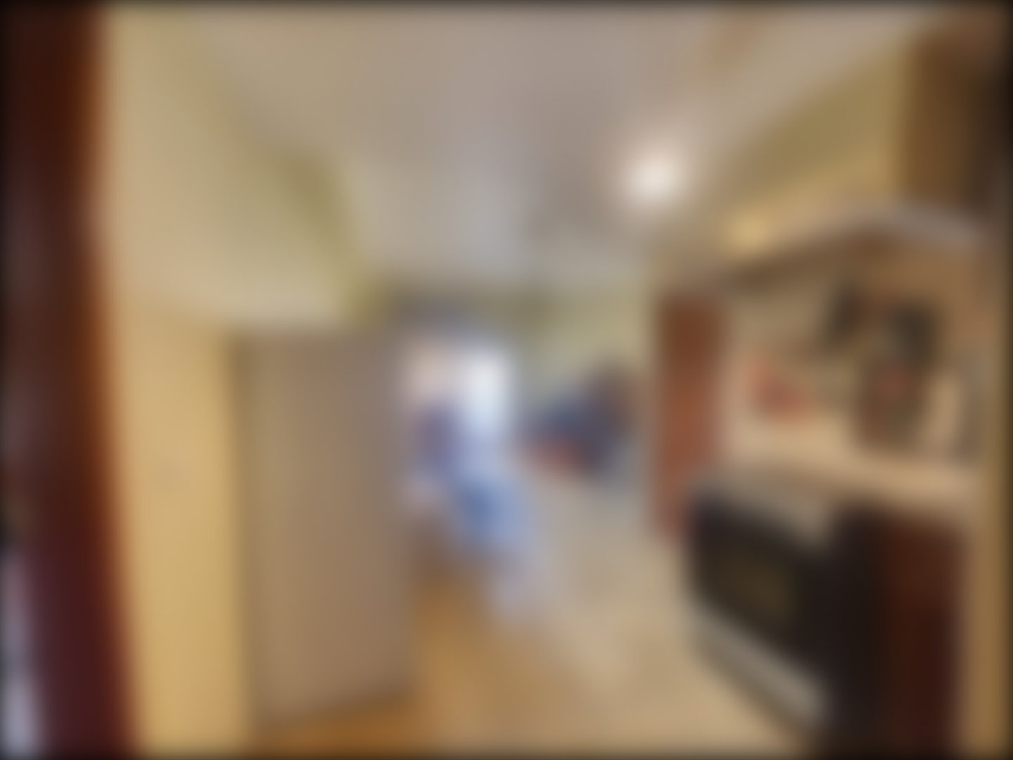 loading blurry tour image