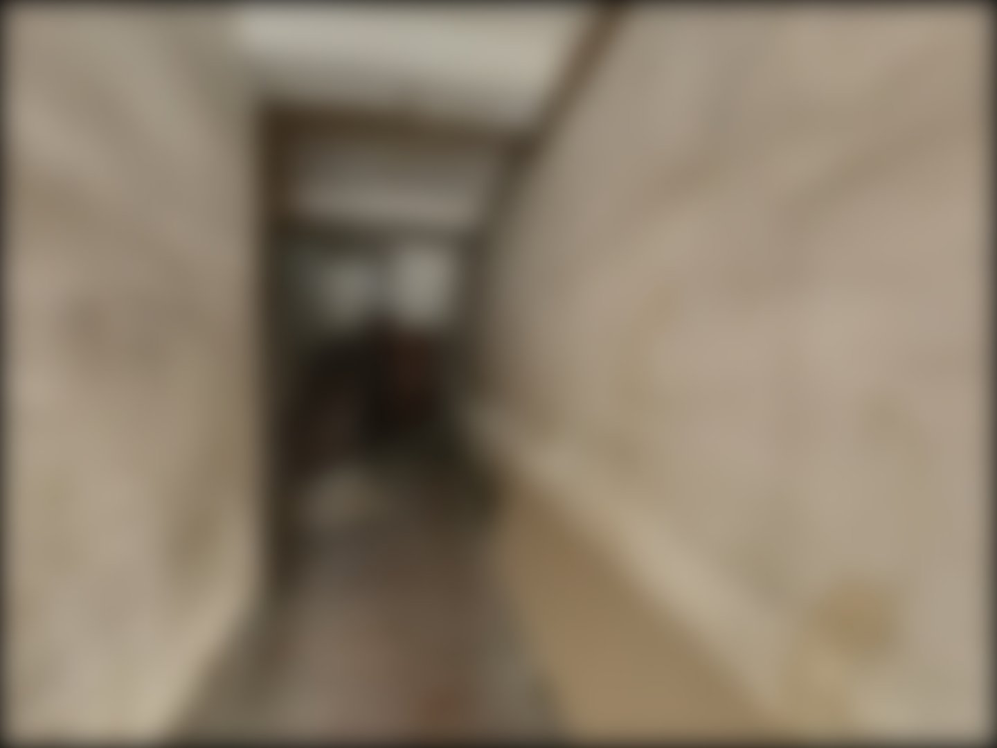 loading blurry tour image