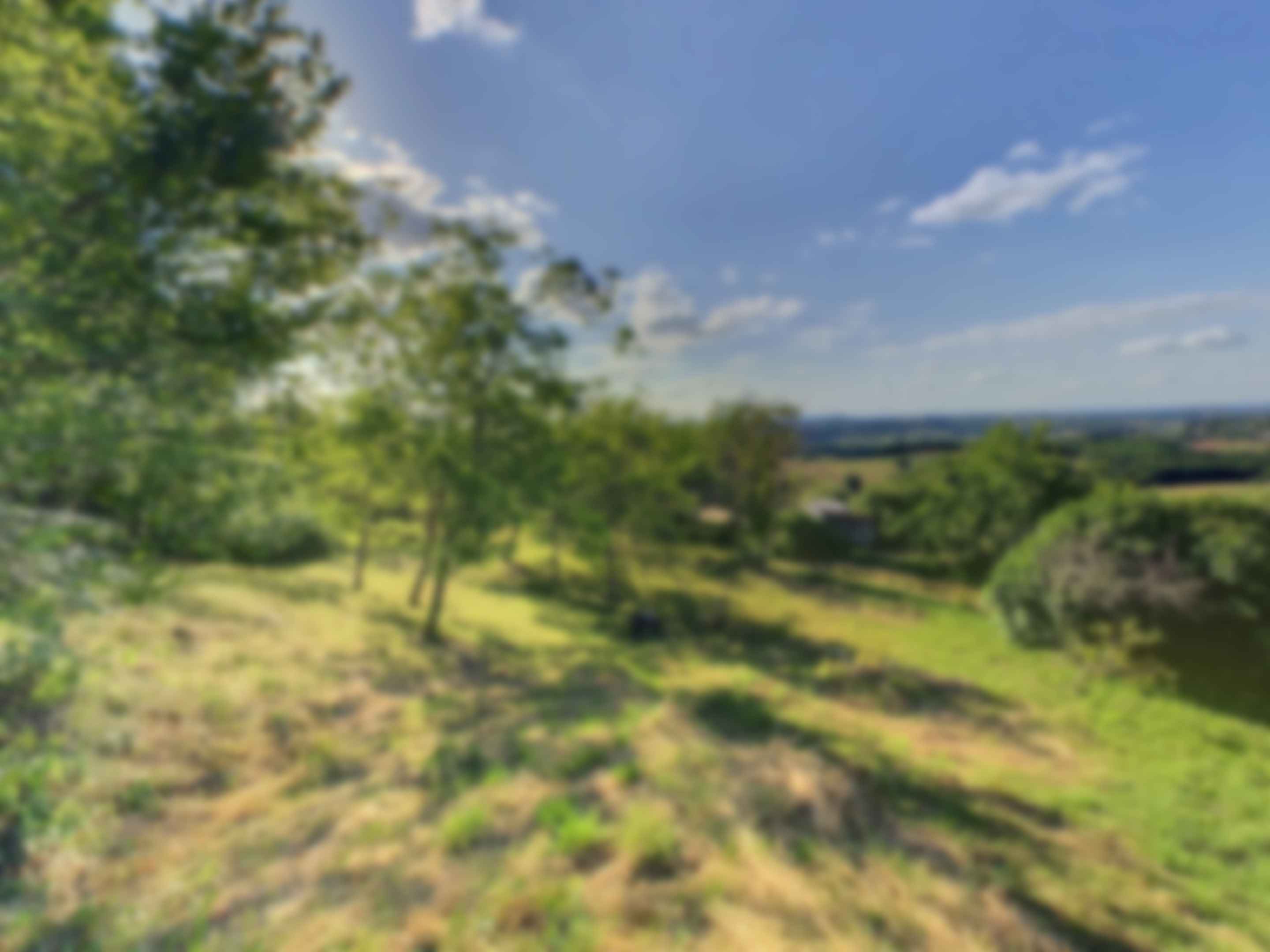 loading blurry tour image