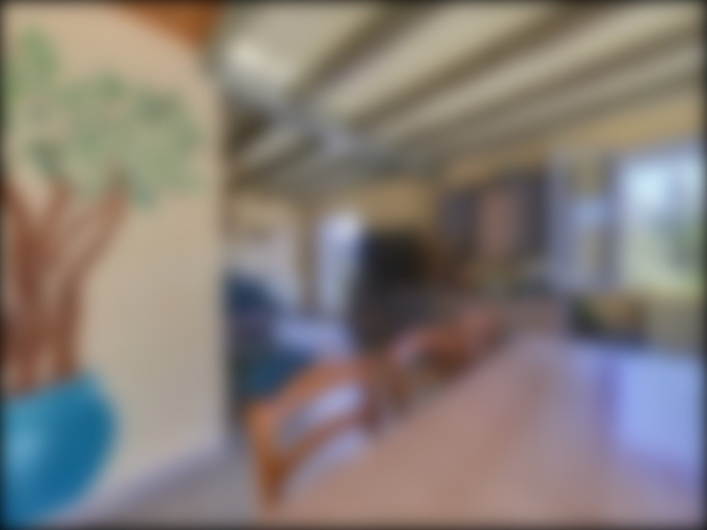 loading blurry tour image