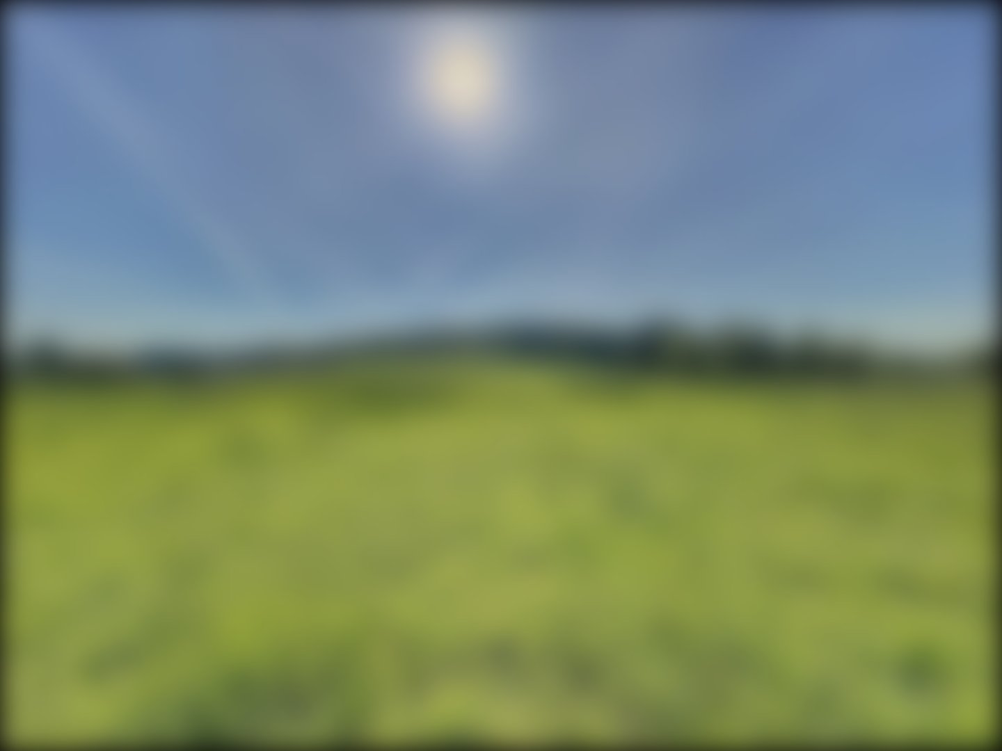 loading blurry tour image