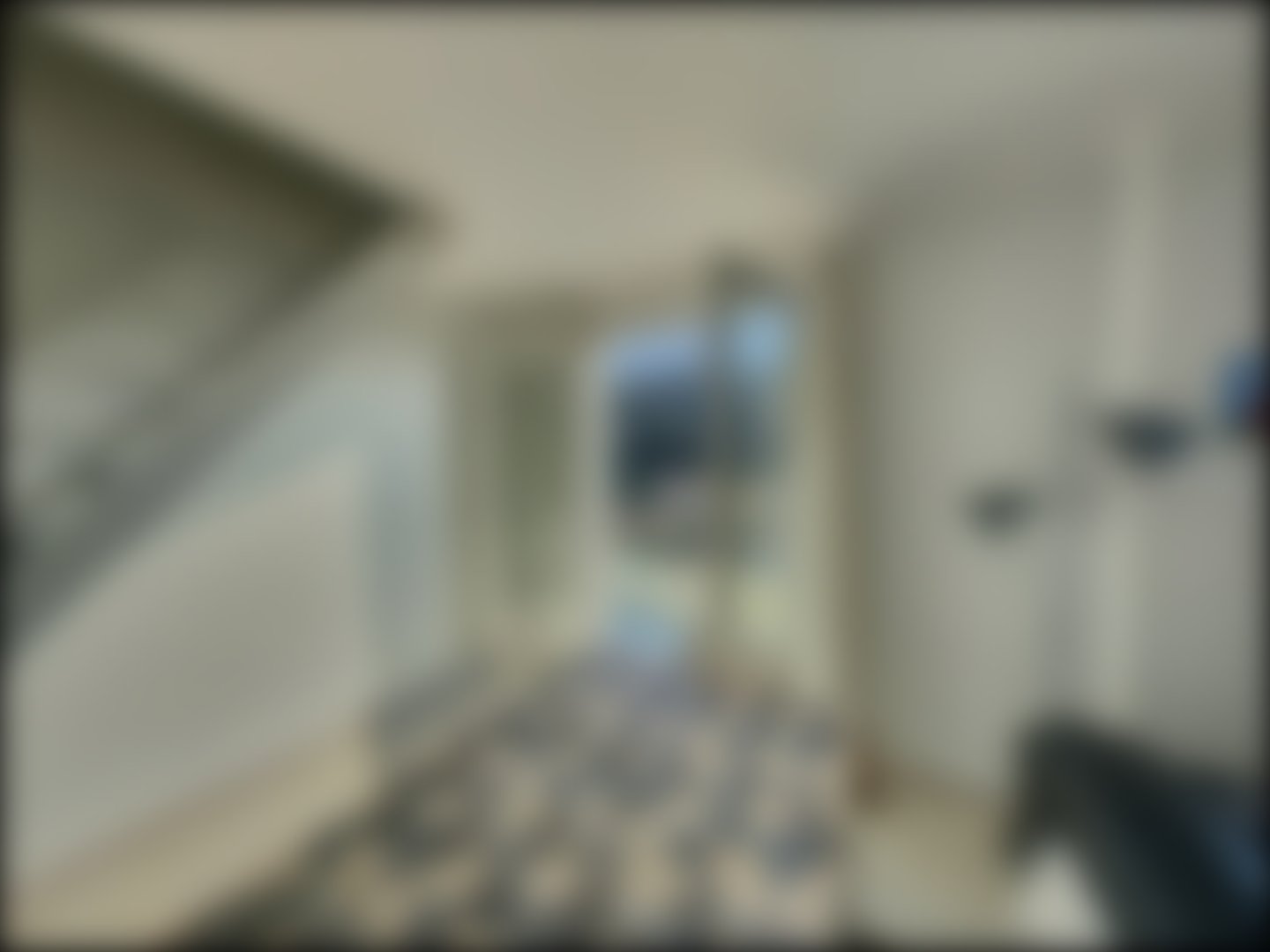 loading blurry tour image