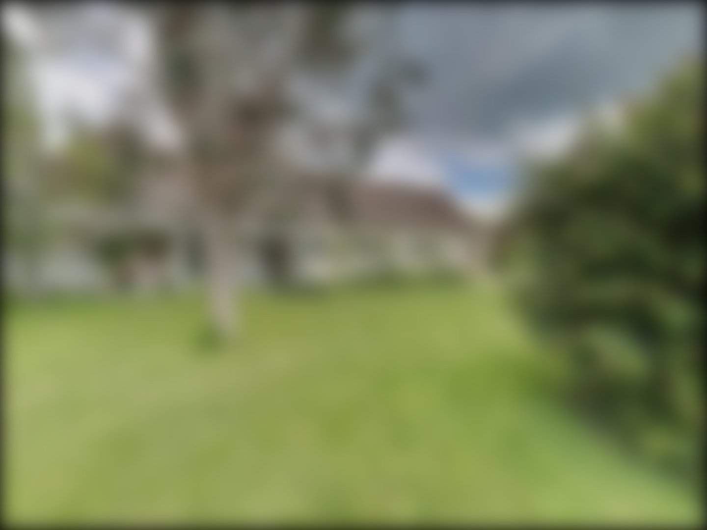 loading blurry tour image