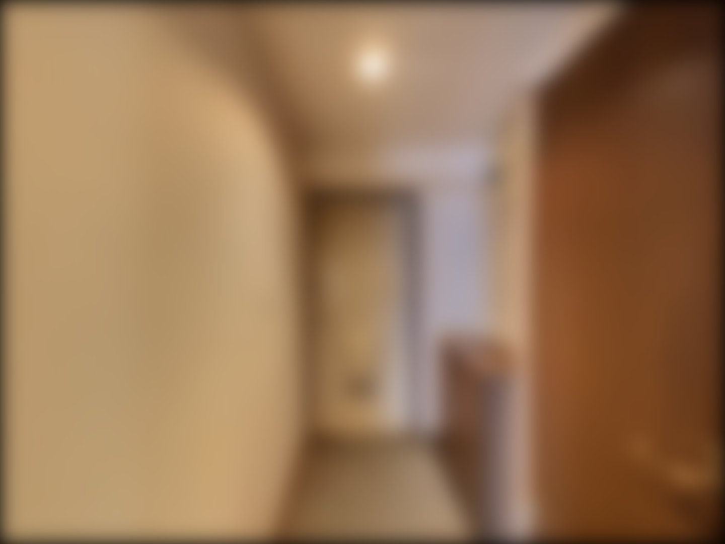 loading blurry tour image