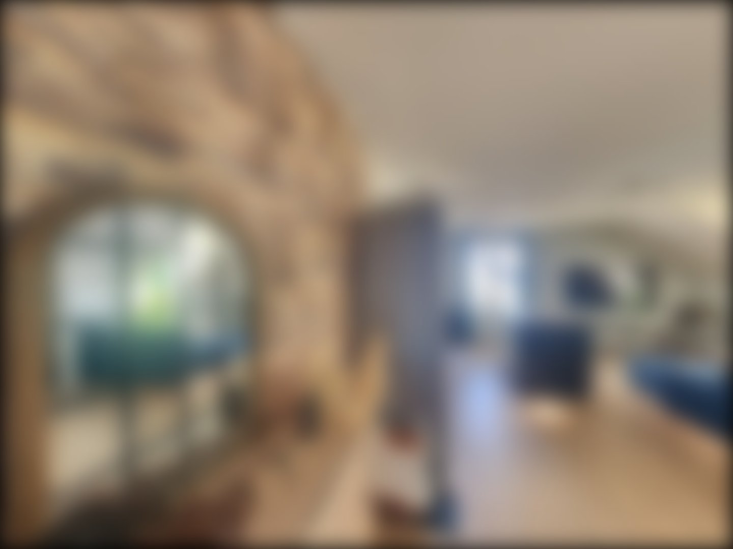 loading blurry tour image