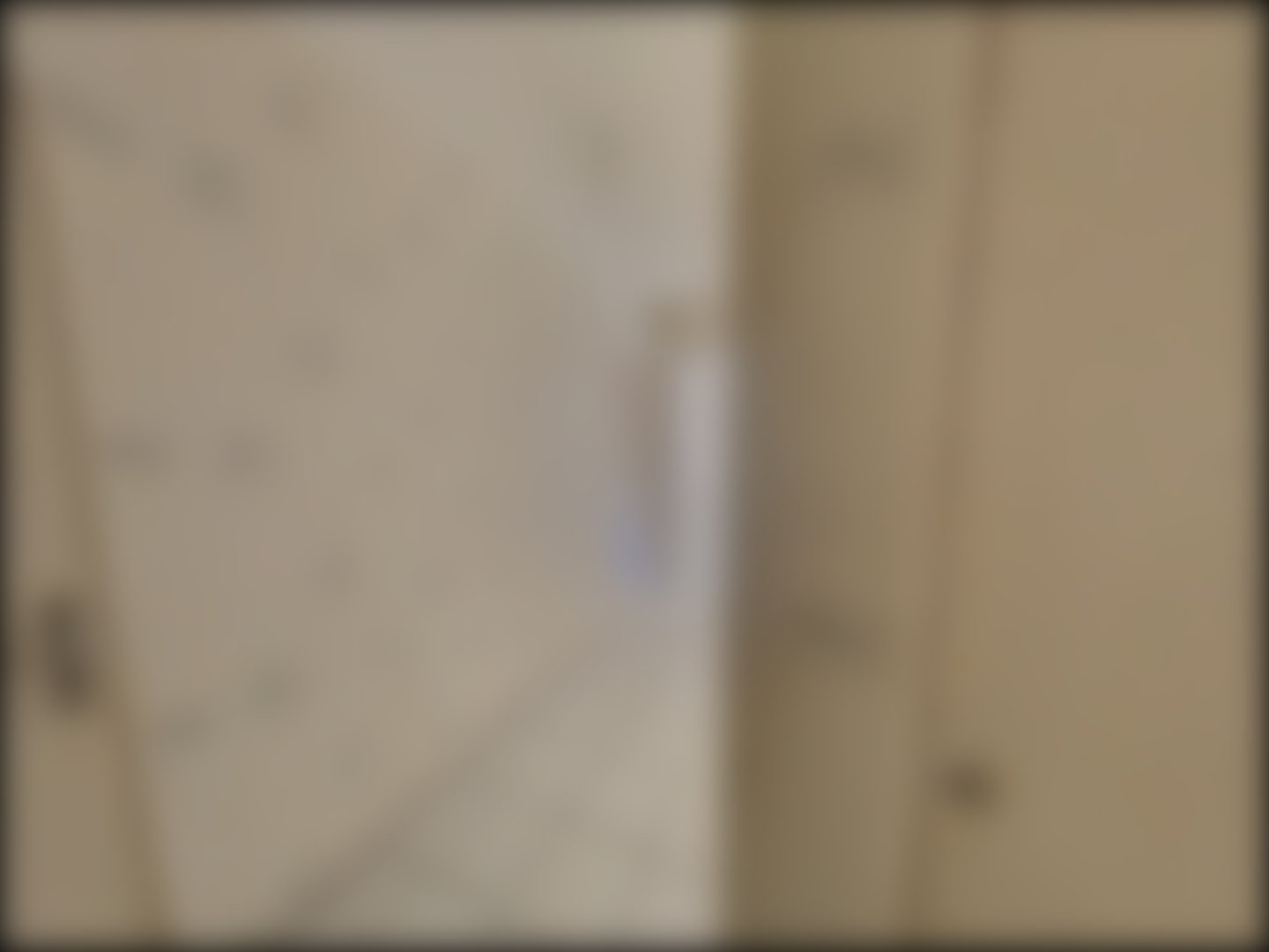 loading blurry tour image