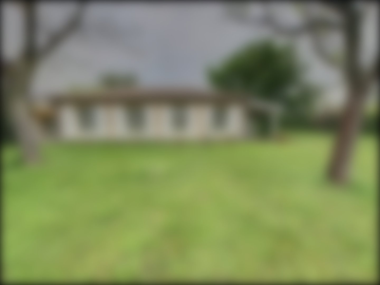 loading blurry tour image